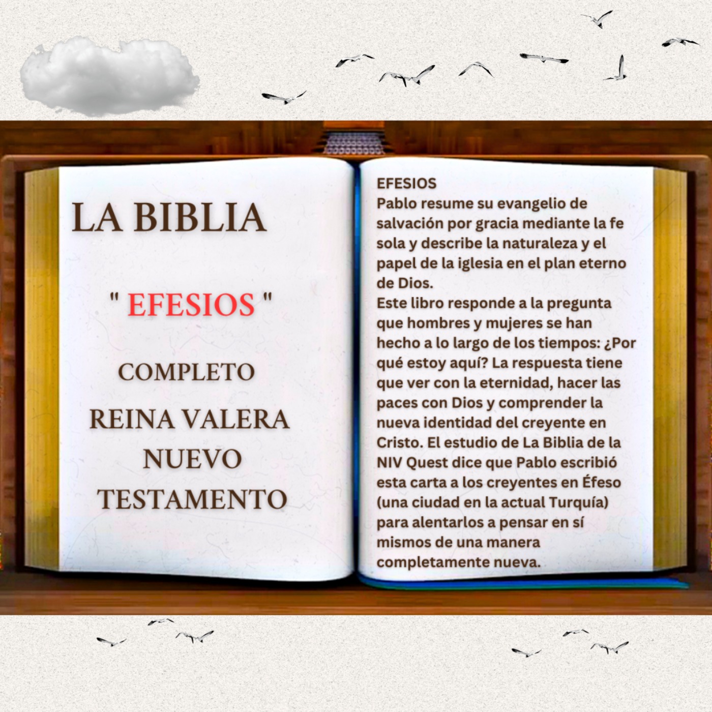 LA BIBLIA EFESIOS COMPLETO REINA VALERA NUEVO TESTAMENTO LA