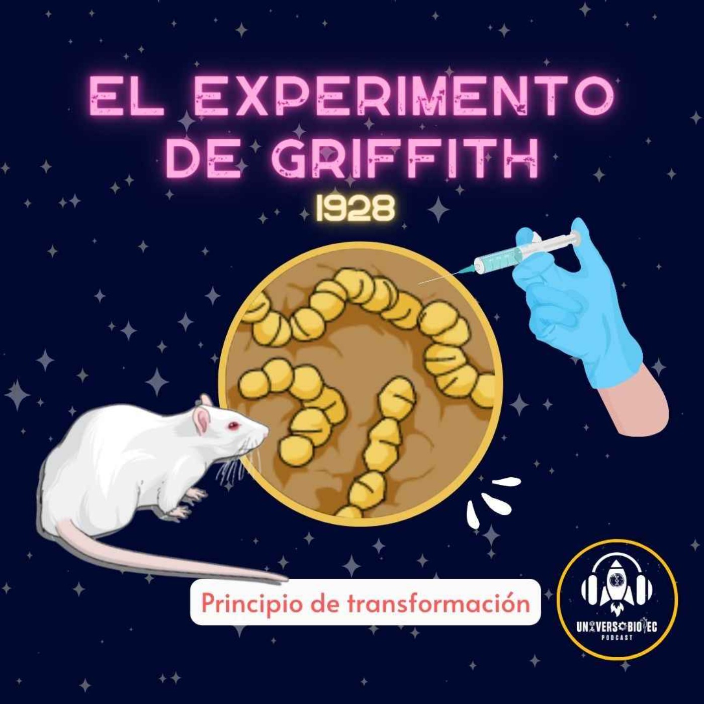 El experimento de Griffith el principio de transformación 1928