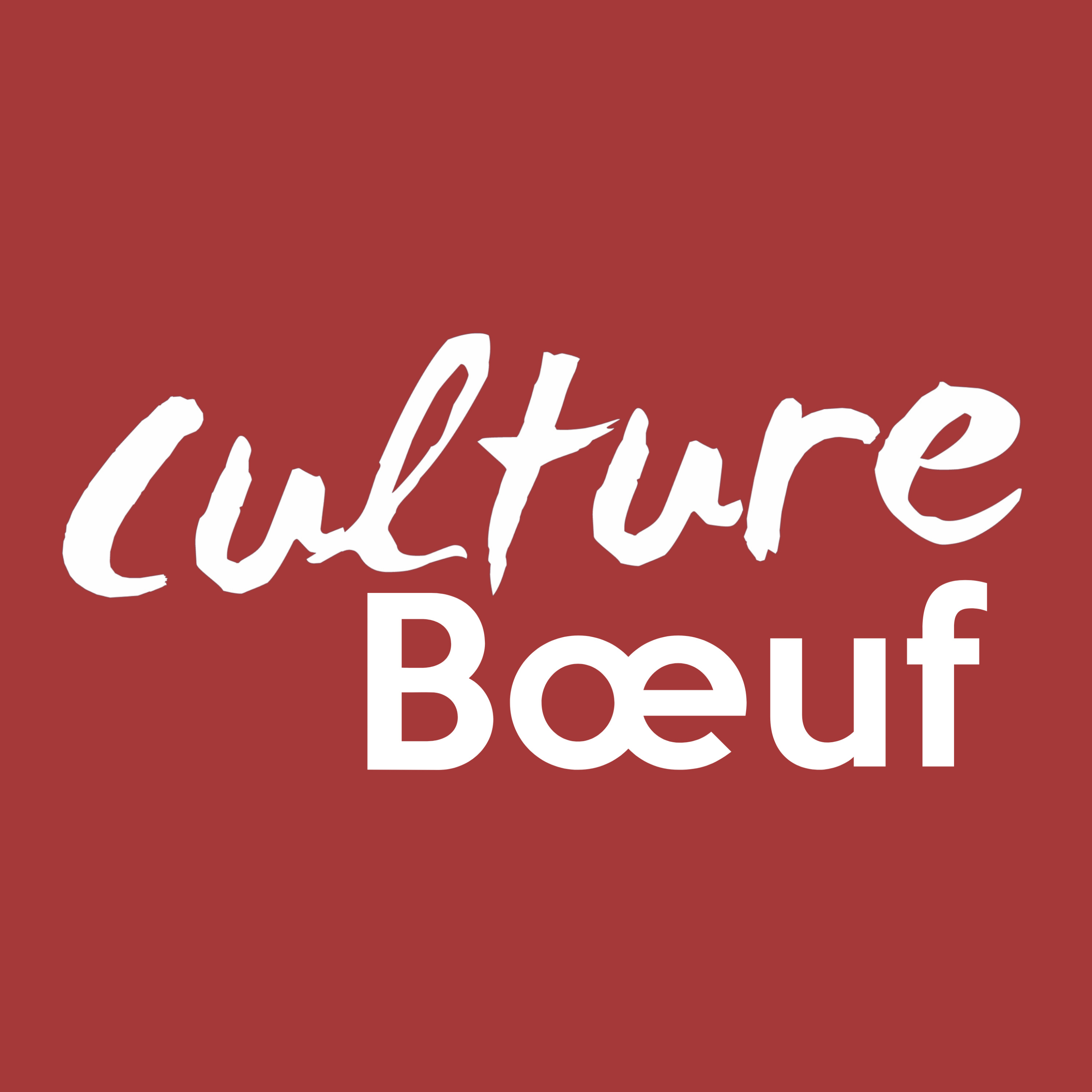 Culture Boeuf Parlons Des Sp Cificit S De La Fili Re Bovine