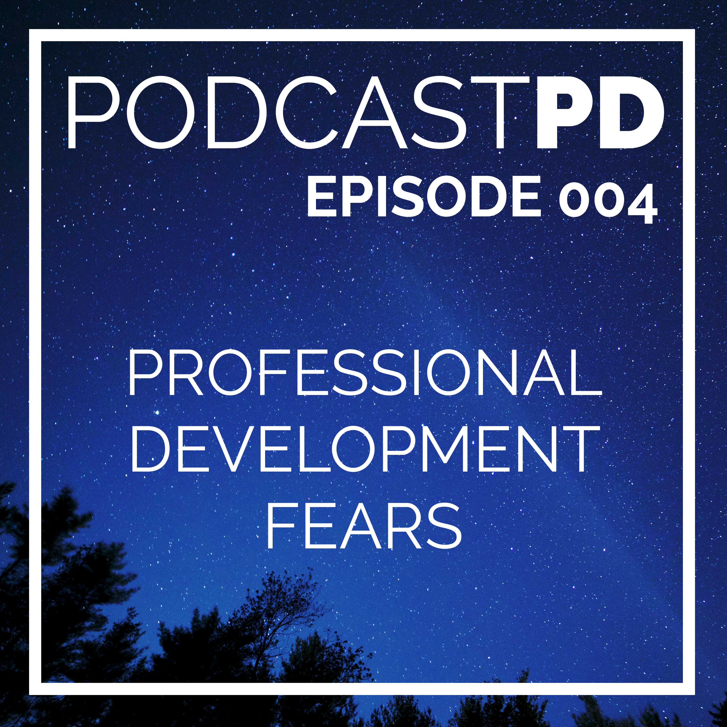 Professional Development Fears - PPD004 Image