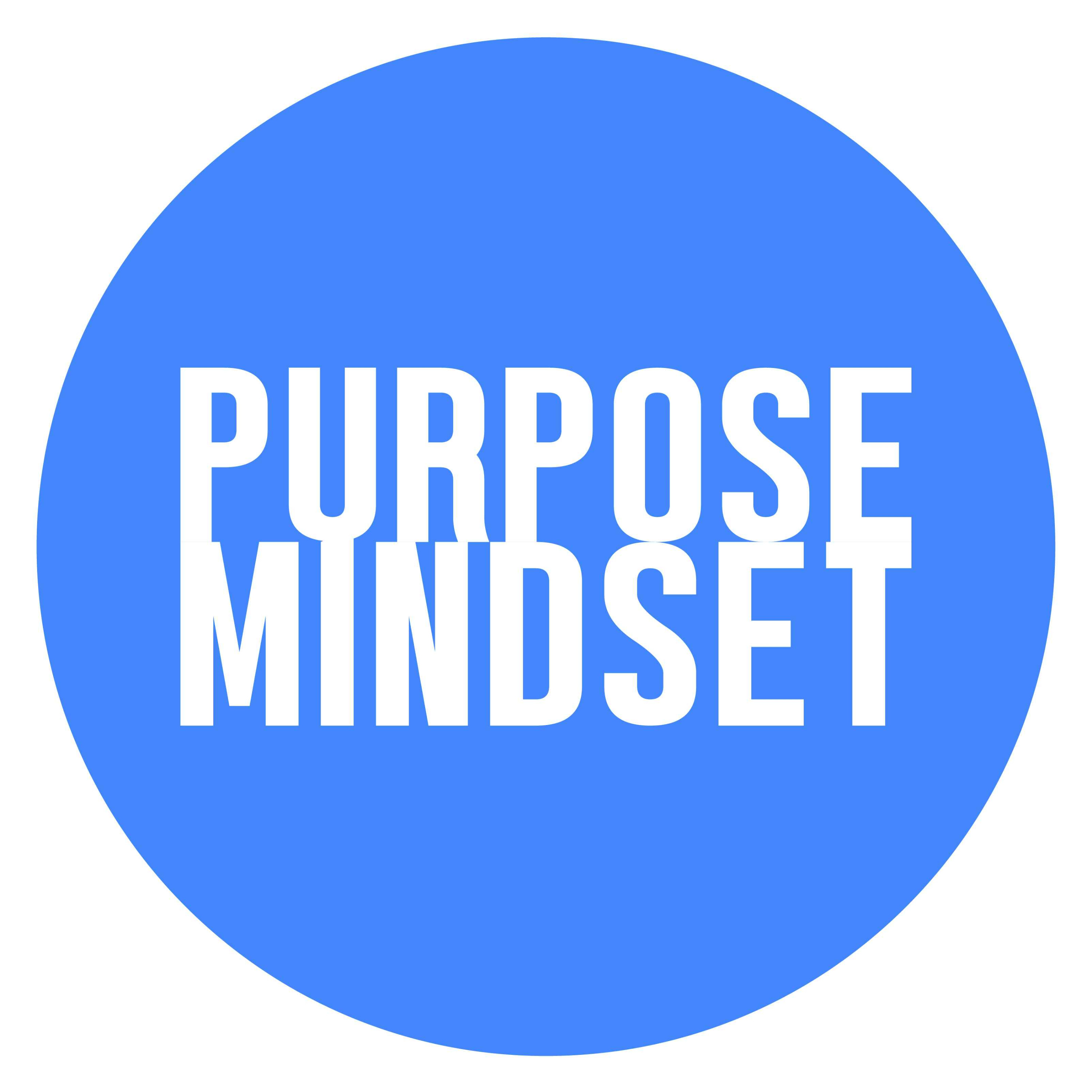 cover art for Purpose Mindset