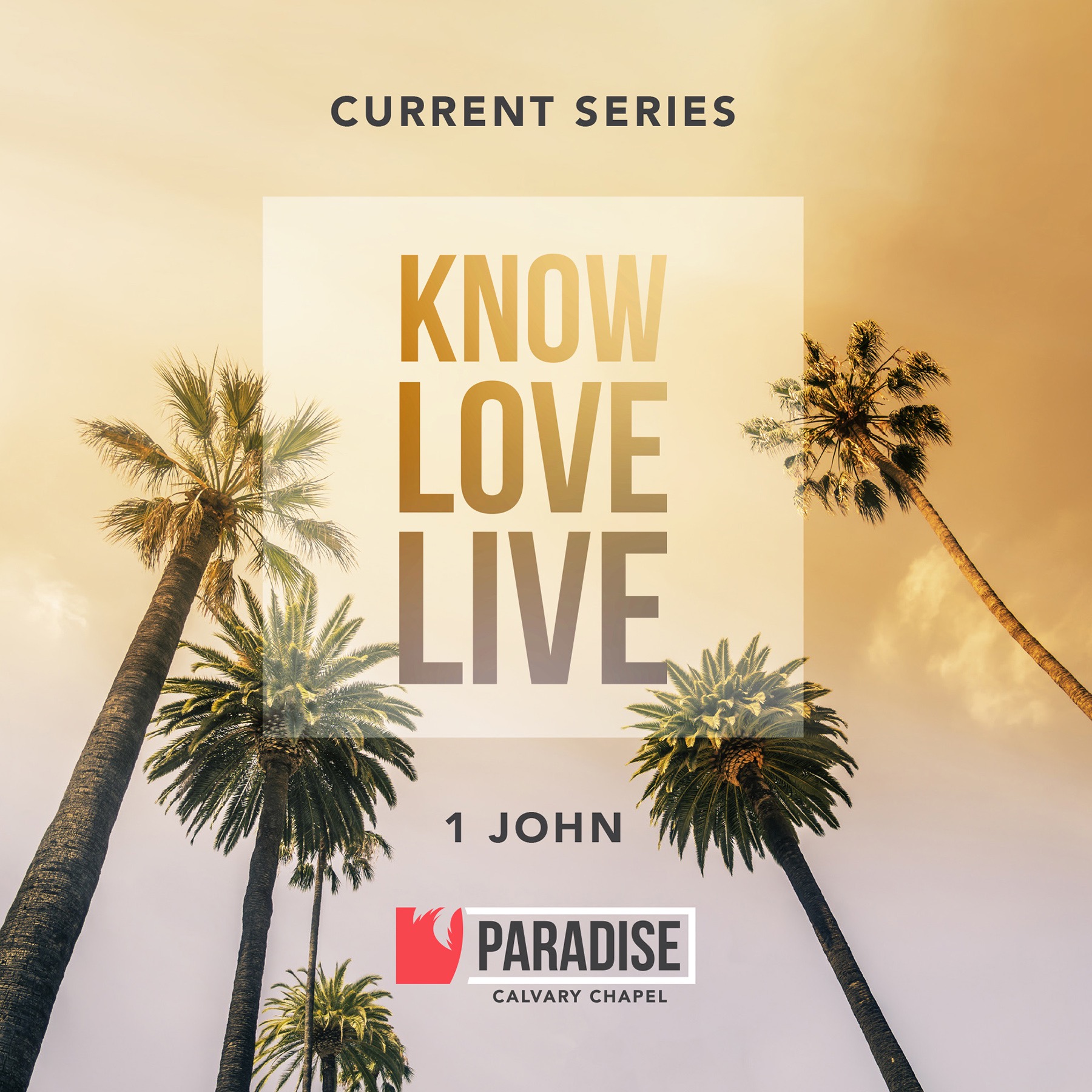 The Father’s Love episode artwork