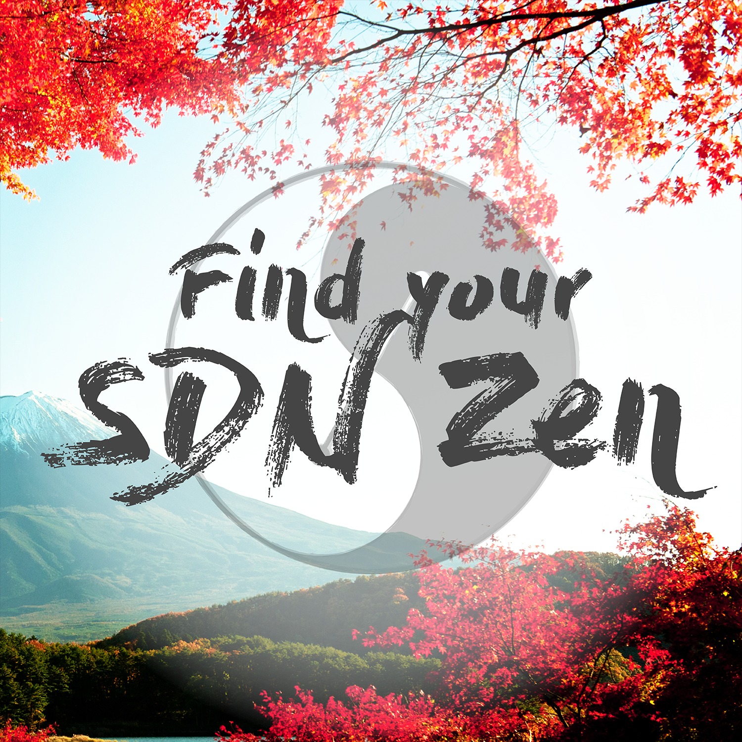 Find your SDN Zen