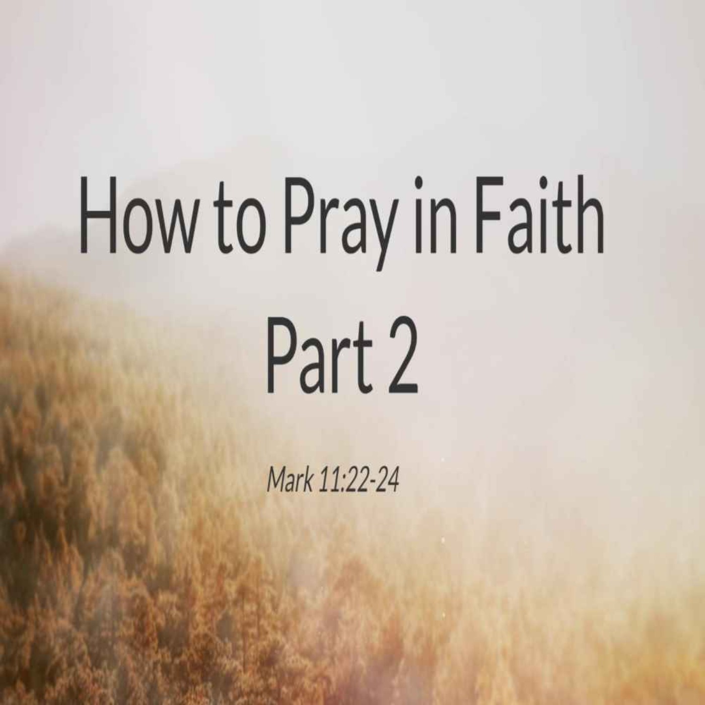 Sunday Message/Lighthouse Fellowship of Friends - League City, Texas