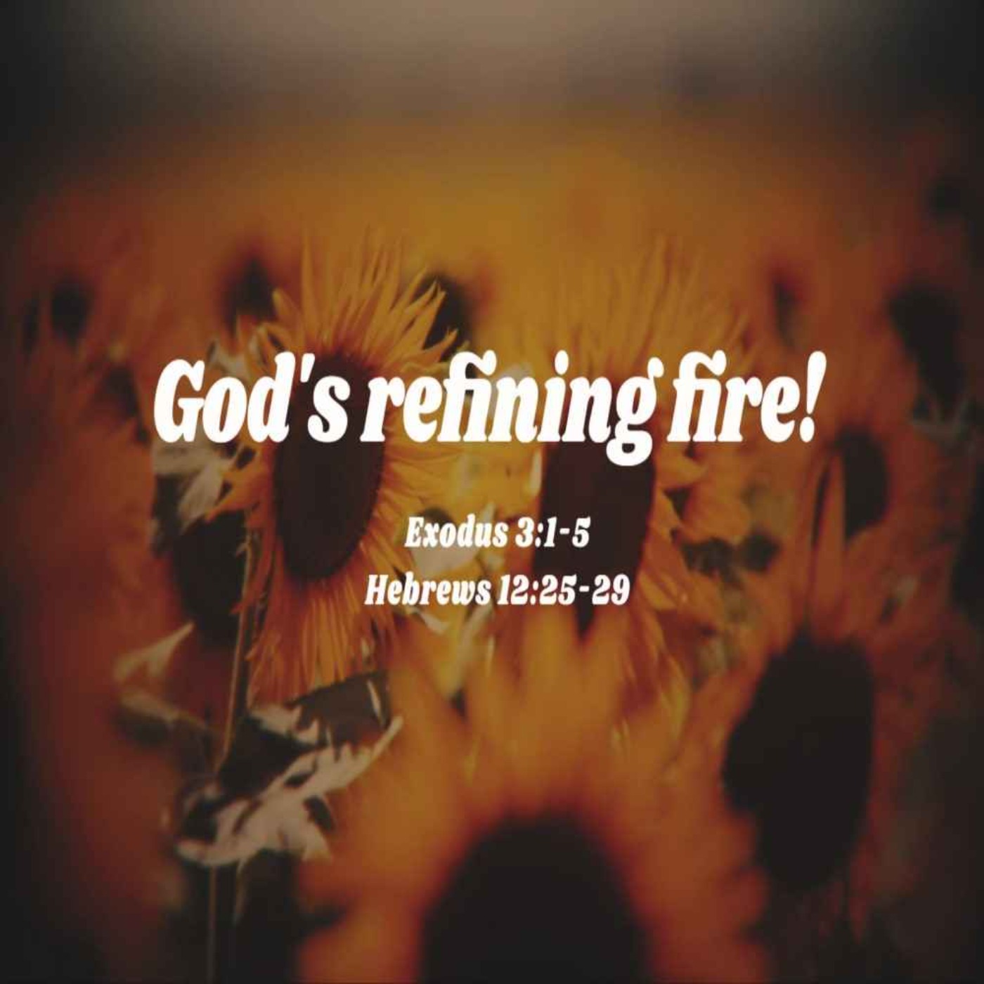 cover art for God's Refining Fire!