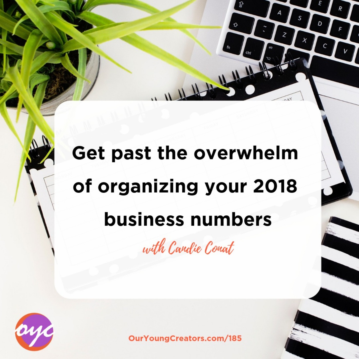 185 - Get past the overwhelm of organizing your 2018 business numbers episode artwork