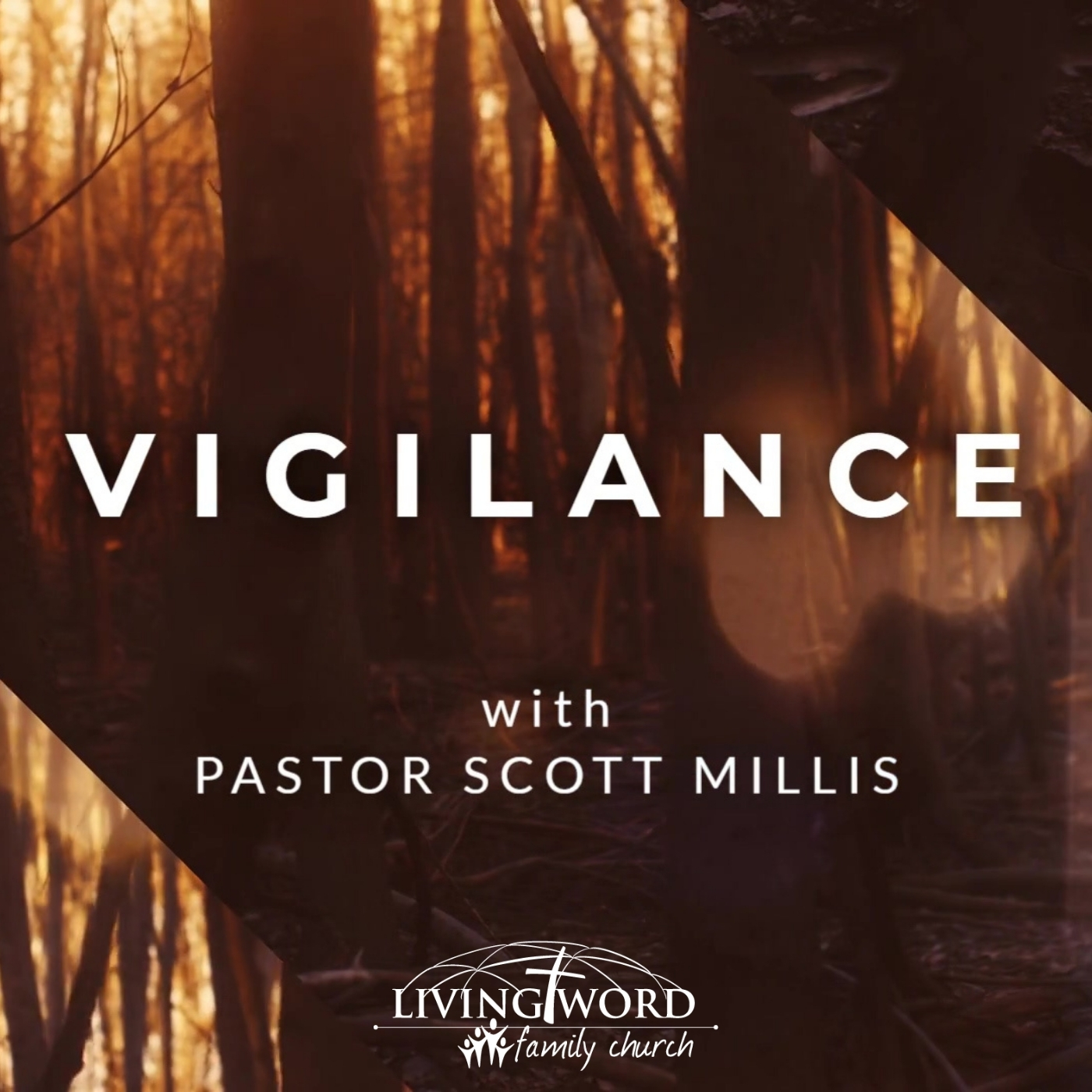 Nov 22nd 2020 Vigilance episode artwork