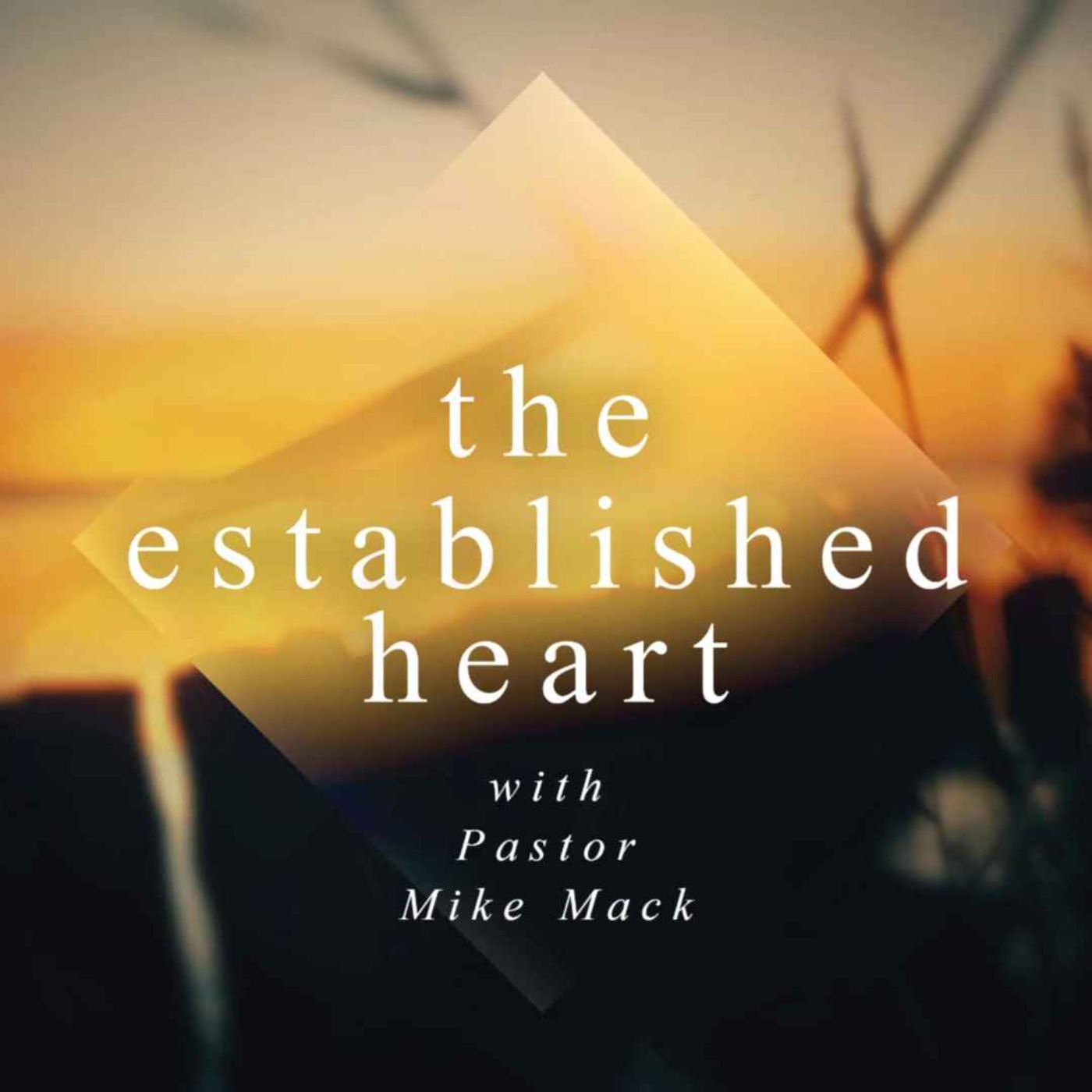 Wed Sept 1st 2021 The Established Heart episode artwork