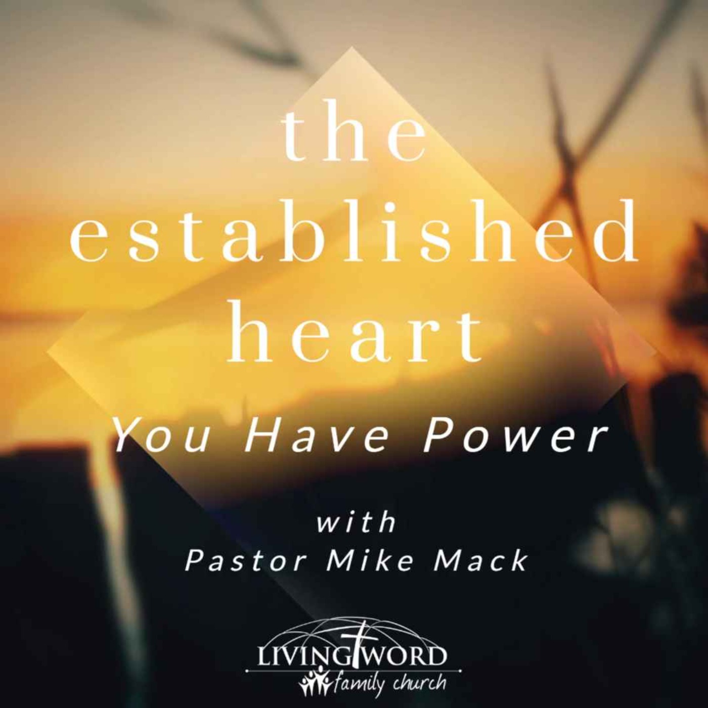 Wed Nov 10th 2021 The Established Heart You Have the Power episode artwork