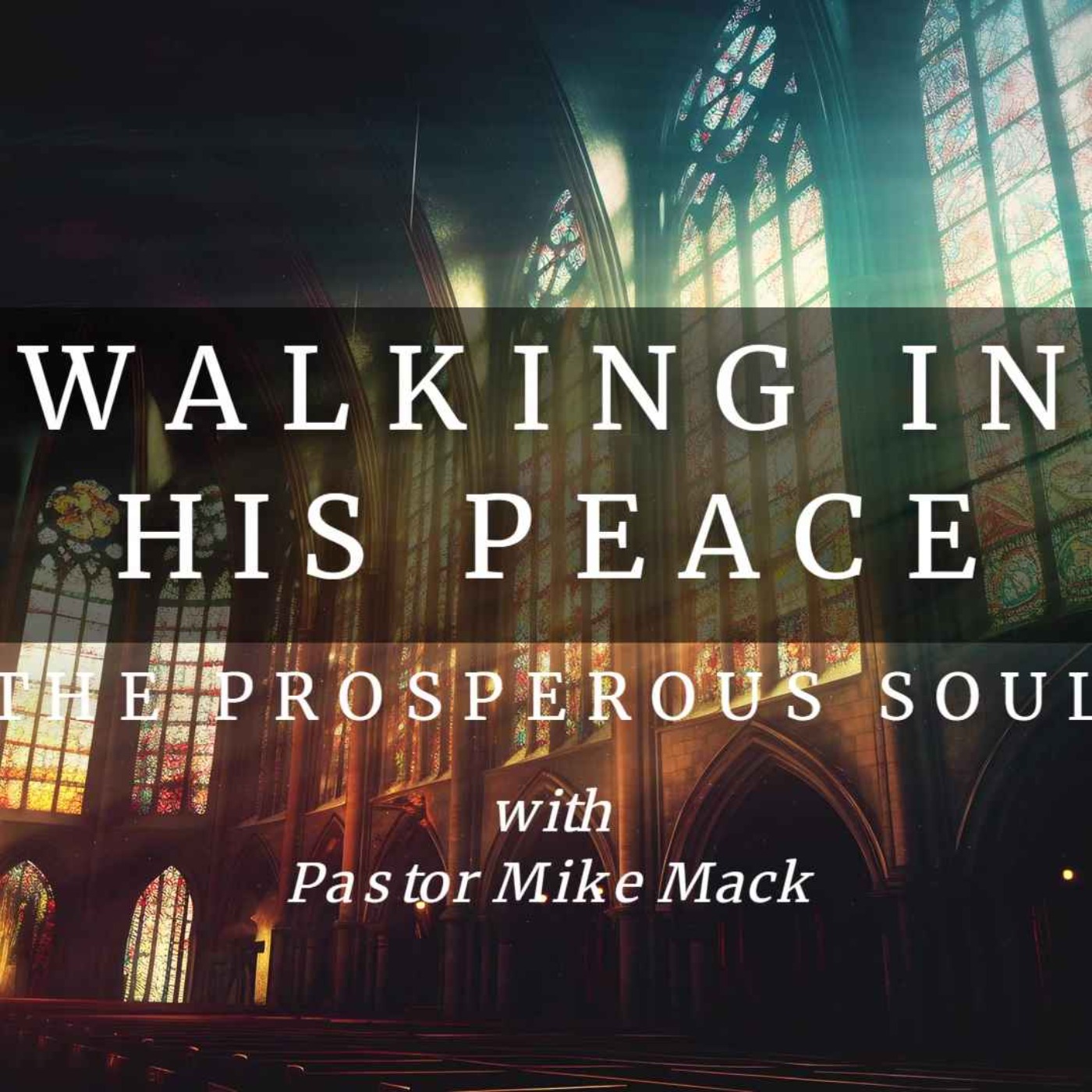 The Prosperous Soul: Walking In His Peace episode artwork