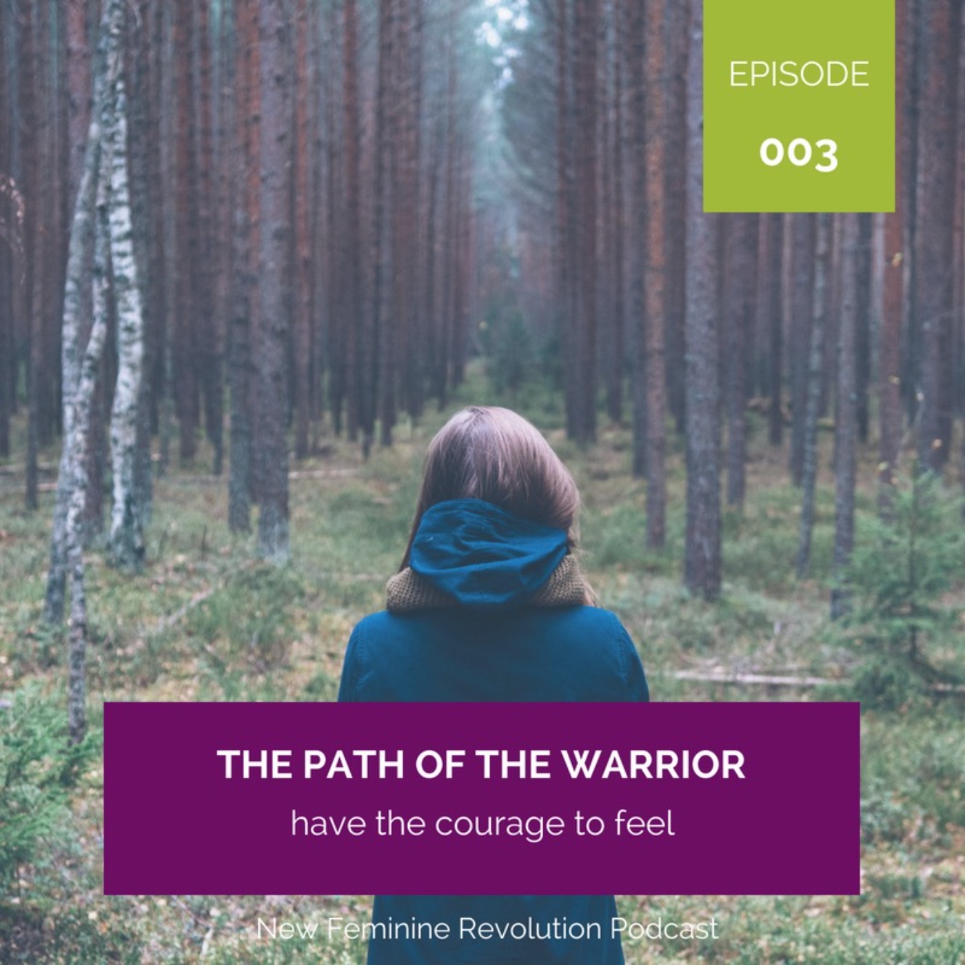 003 The Path of the Warrior episode artwork
