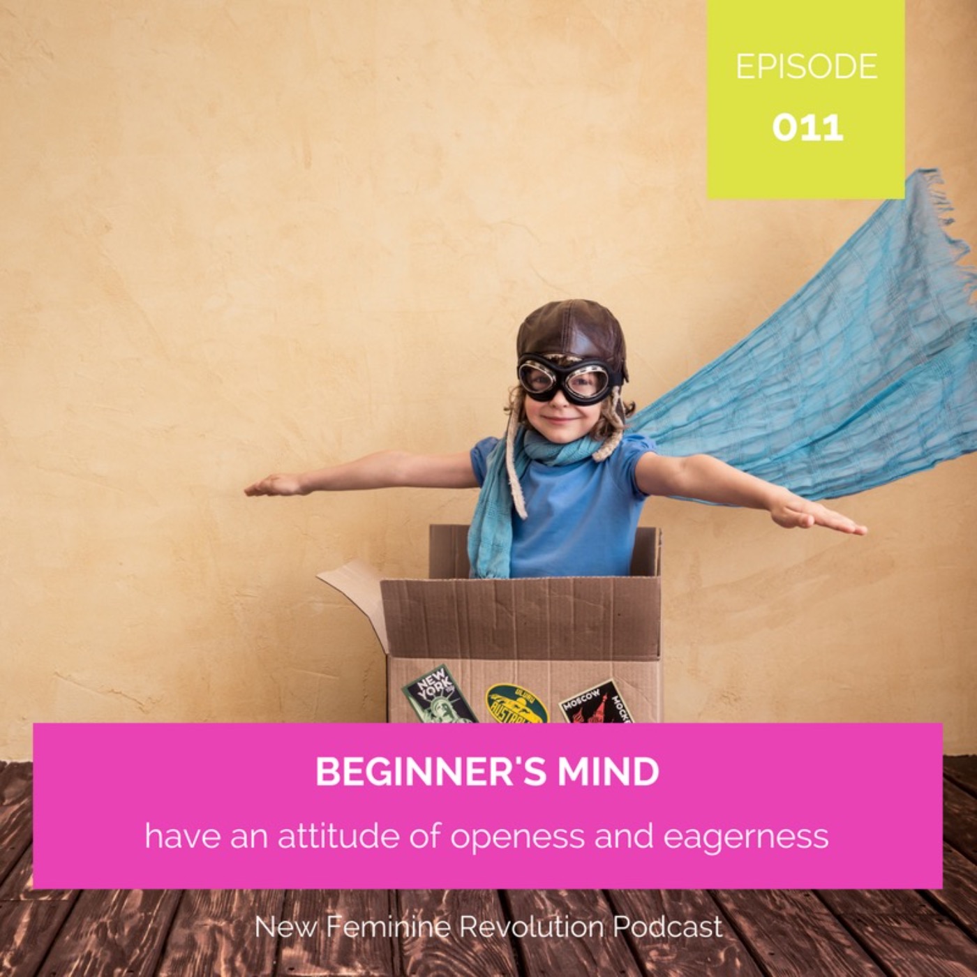 011 Beginners Mind episode artwork