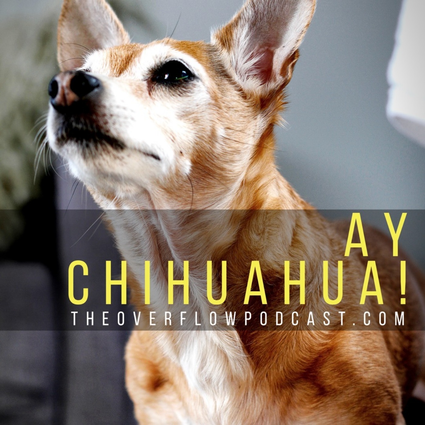 The Overflow Podcast