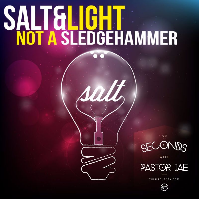 cover art for Salt & Light, Not a Sledge Hammer