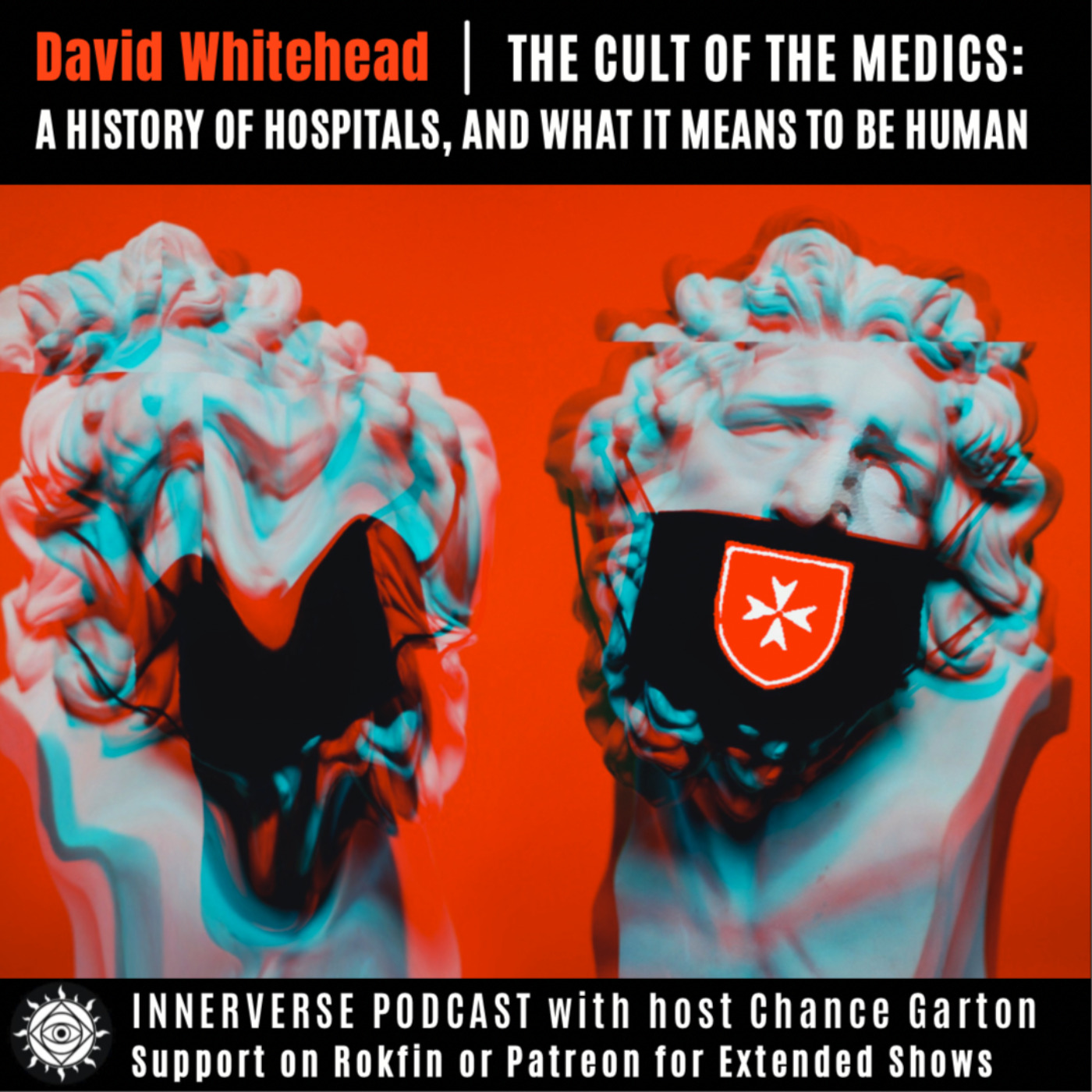 David Whitehead | The Cult of the Medics: A History of Hospitals, and What It Means to Be Human