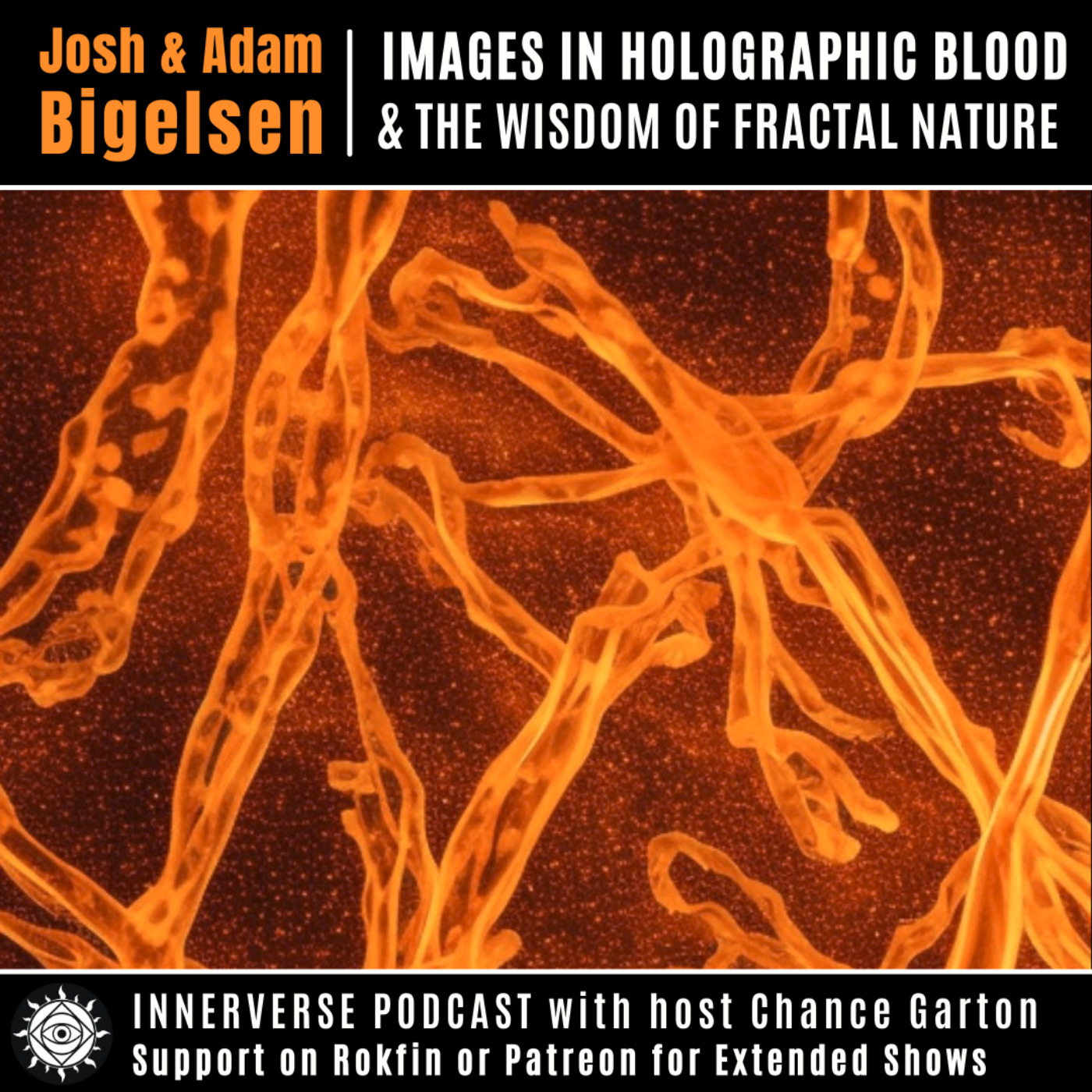 Josh & Adam Bigelsen | Images In Holographic Blood & the Wisdom of Fractal Nature