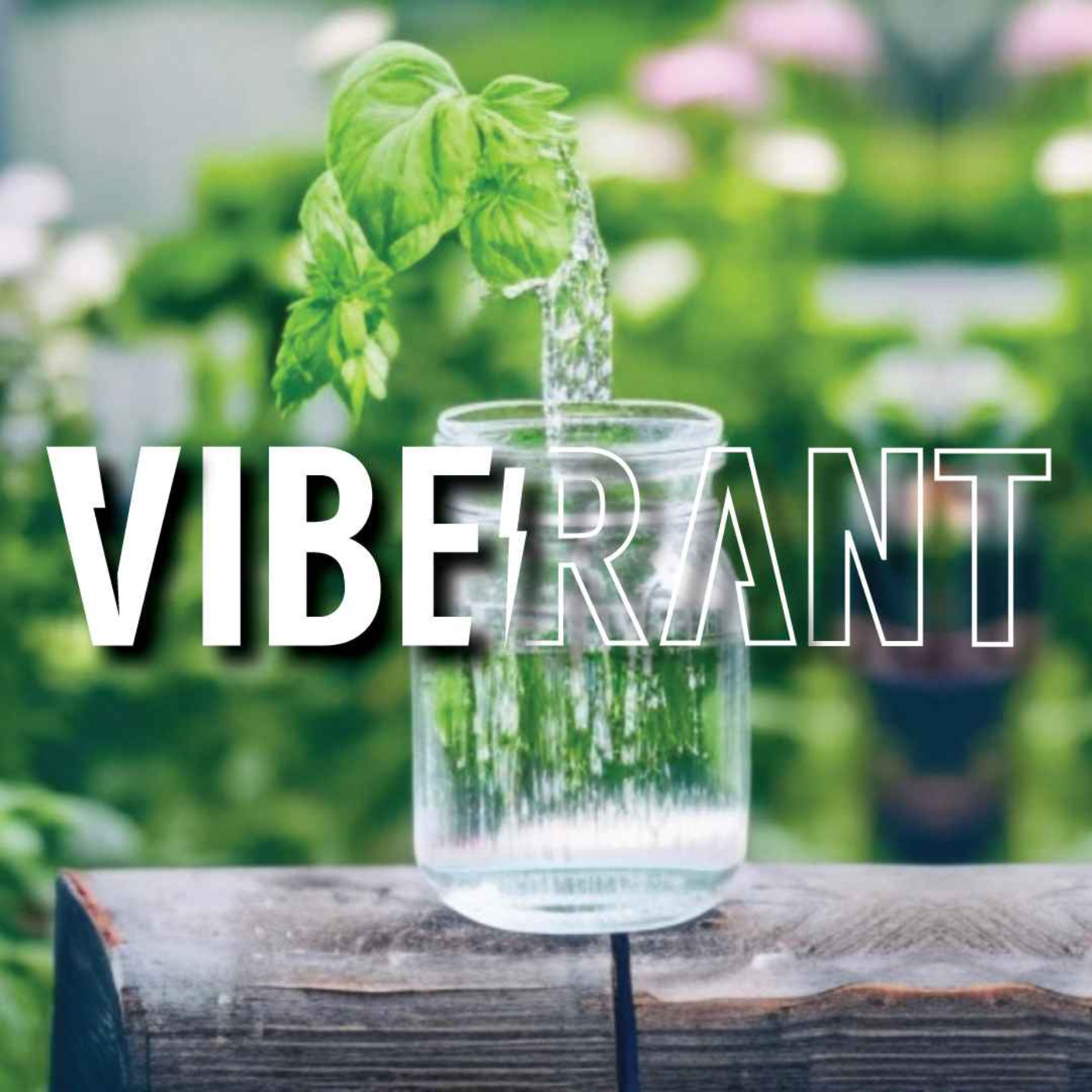 Astro Herbalism of Aquarius with Kyle (Tippecanoe Herbs) & Michelle Lundquist | Vibe Rant ep. 75