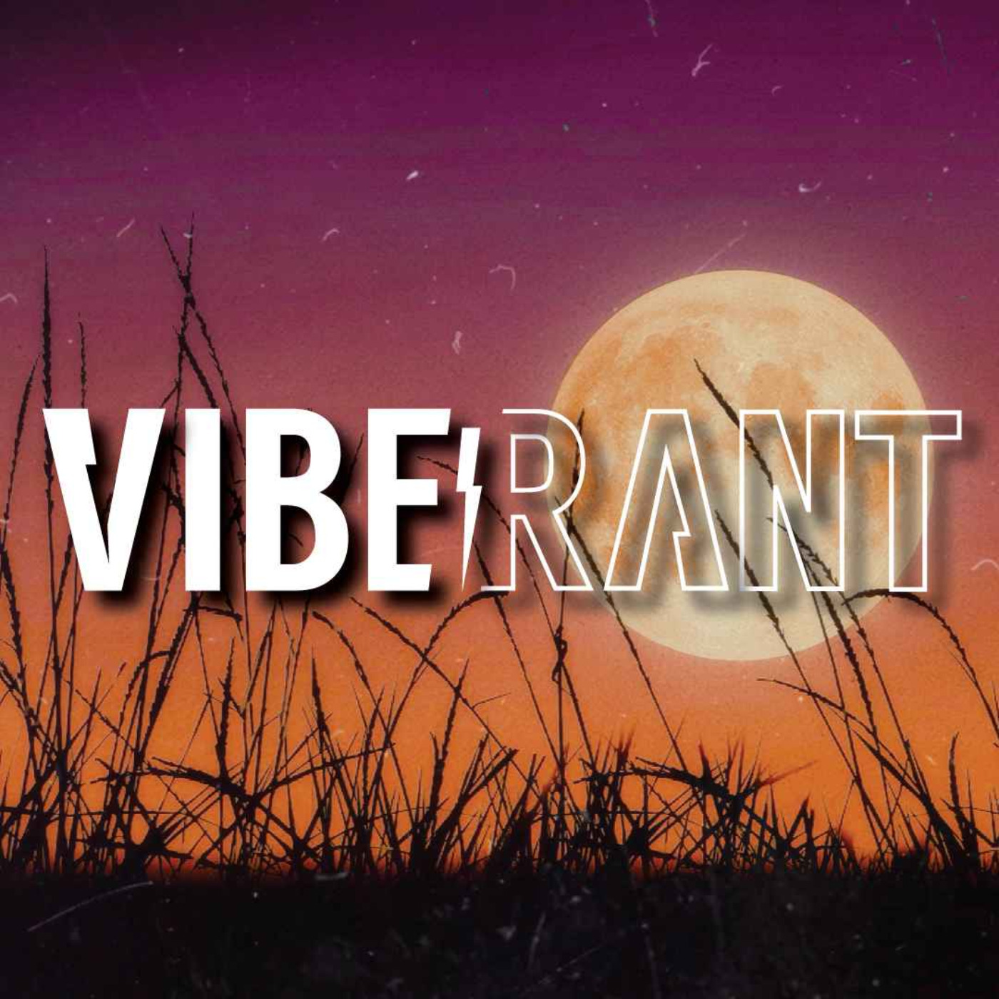 Harvest Moon Hangout with Tippecanoe Herbalist Kyle Denton, Topher Gardner & Slick | Vibe Rant 144