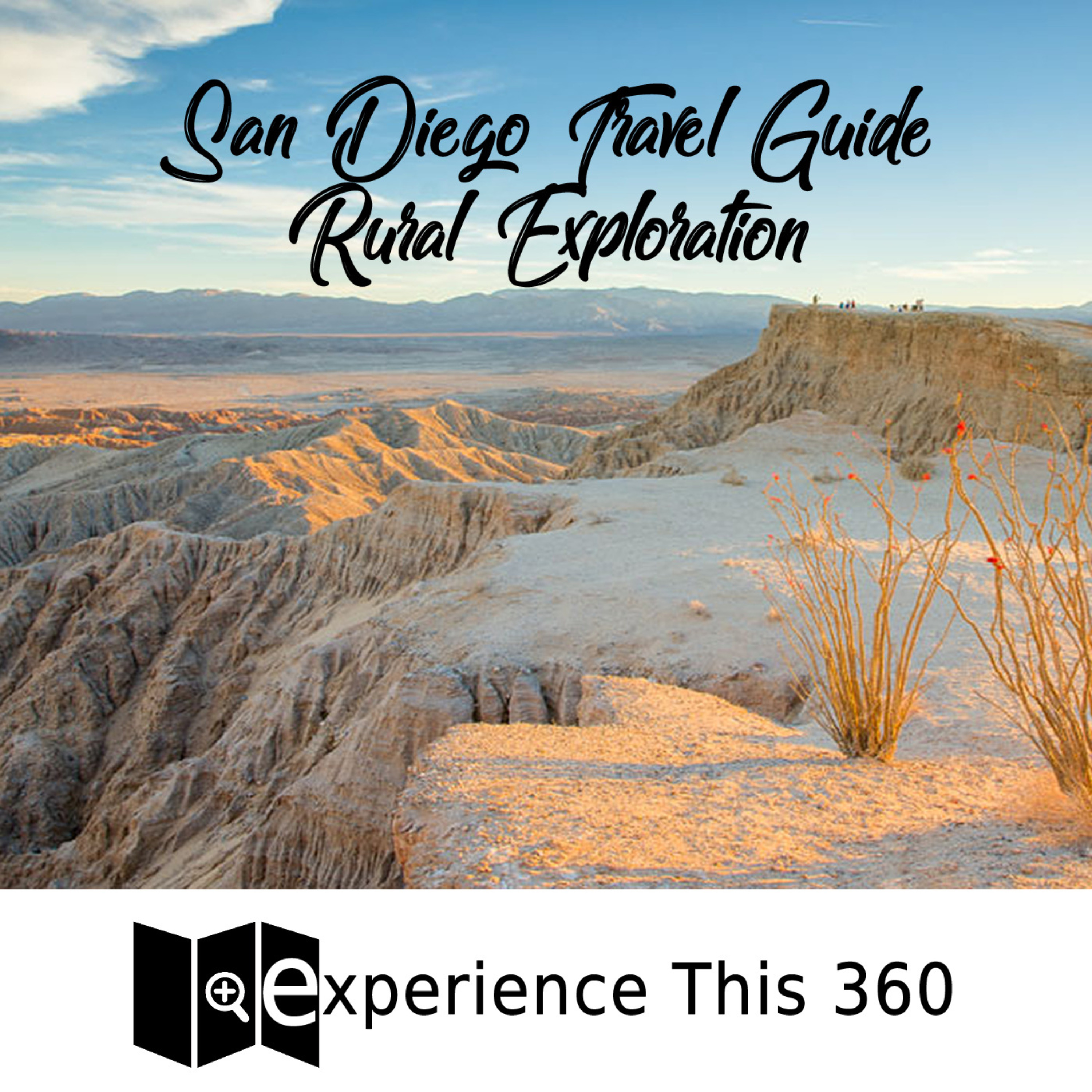 Experience This 360