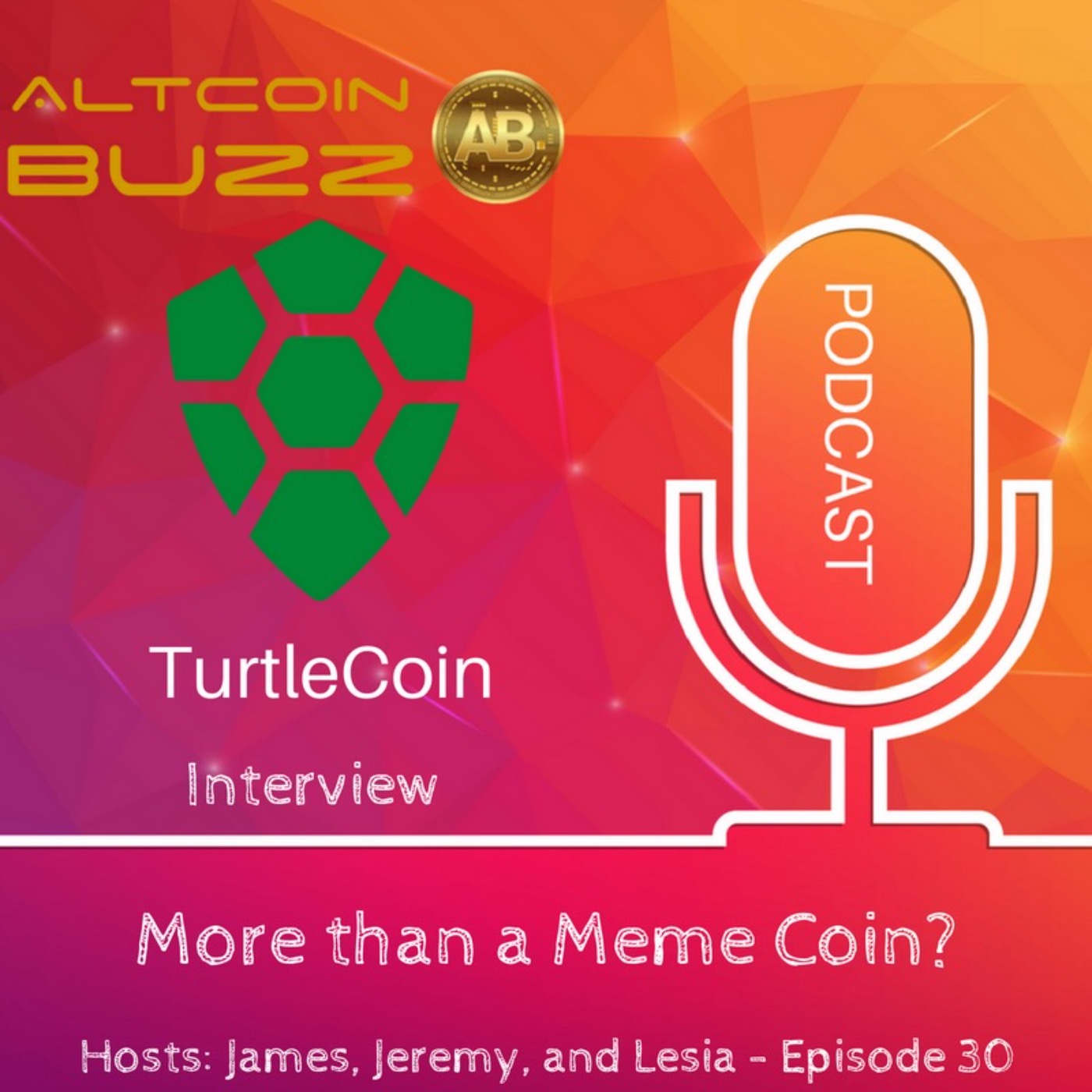 More than a Meme Coin? Interview with TurtleCoin - EP. 30