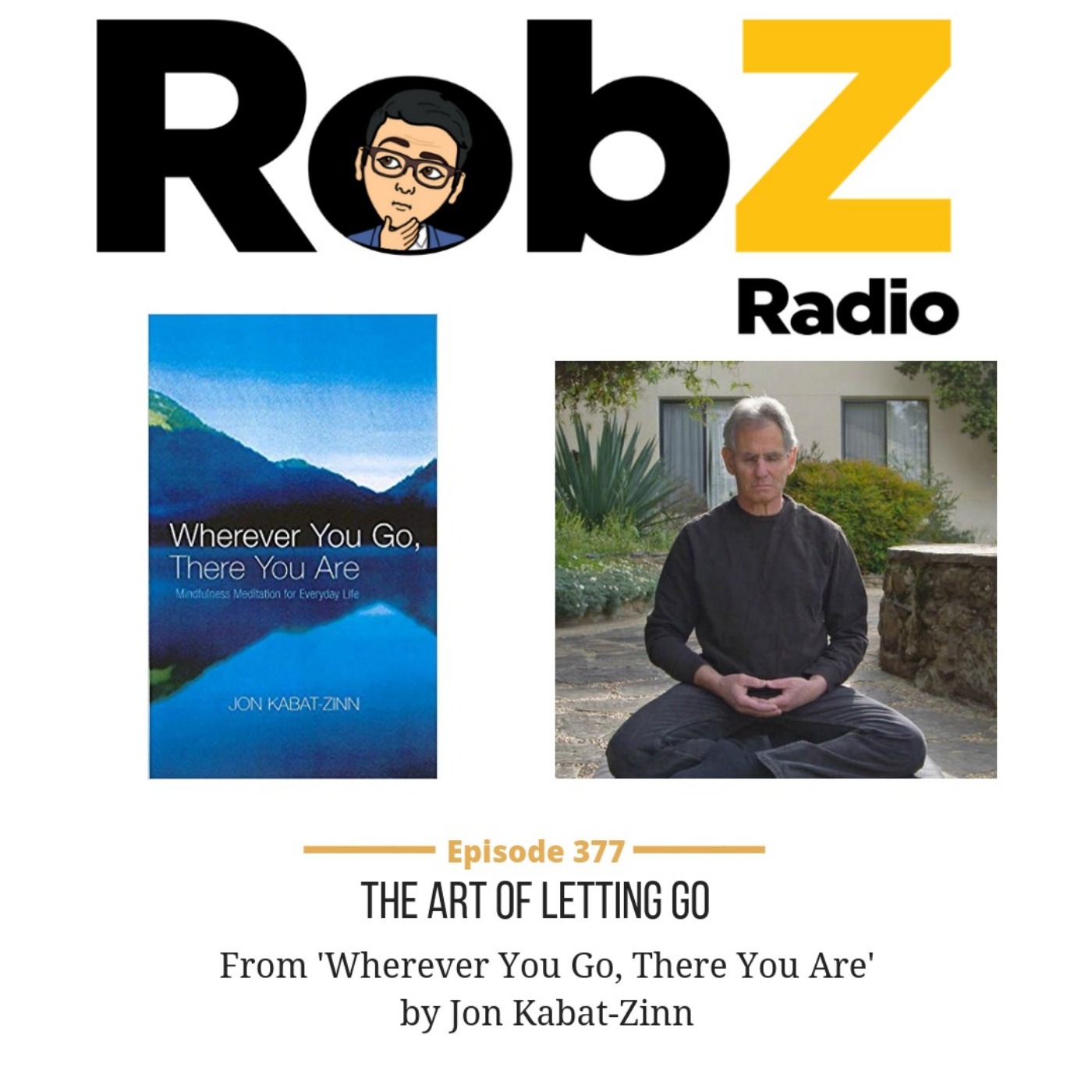 377 The Art of Letting Go from Jon Kabat-Zinn - author of 'Wherever You Go, There You Are' episode artwork