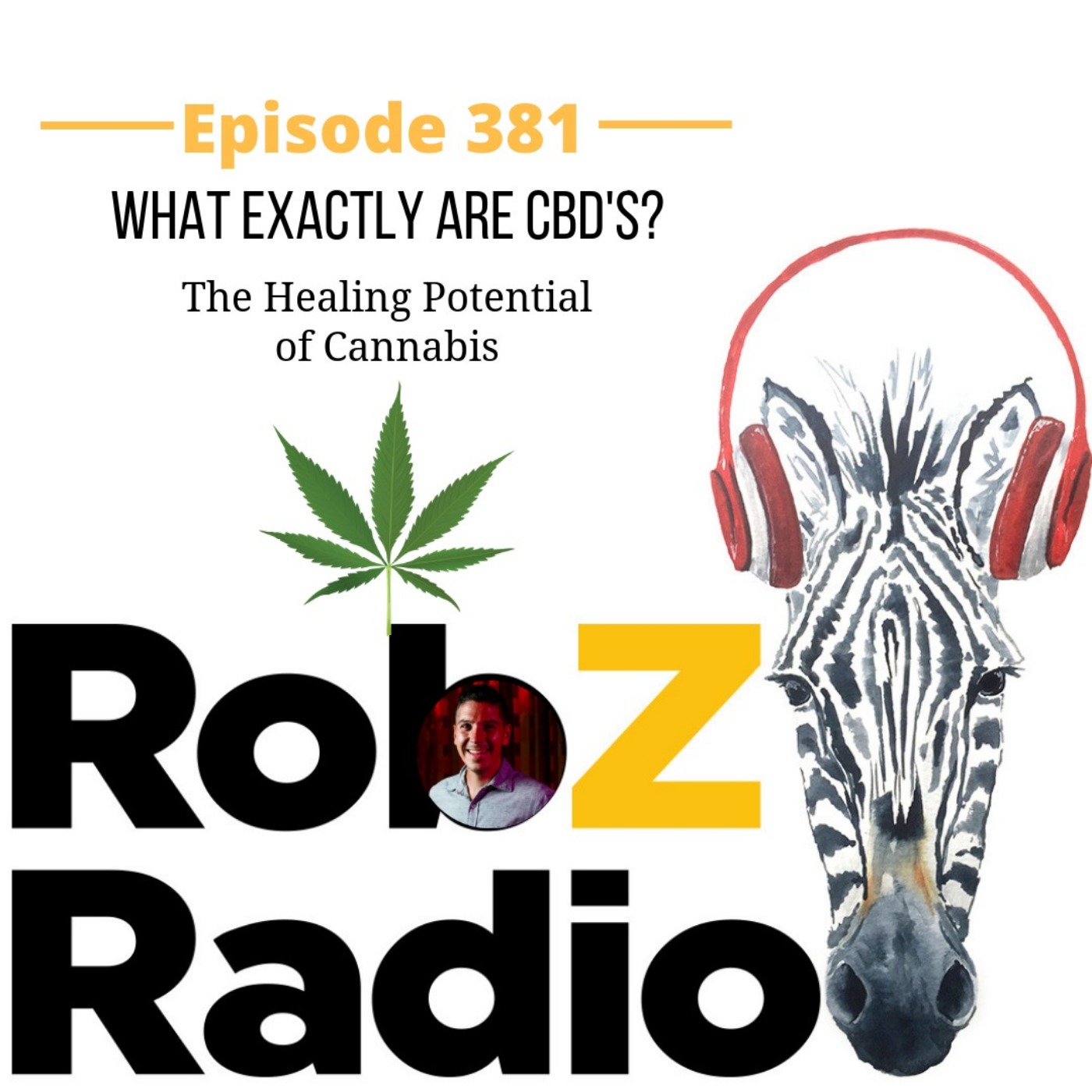 381 What Exactly Are CBD's? and the healing potential of Cannabis episode artwork