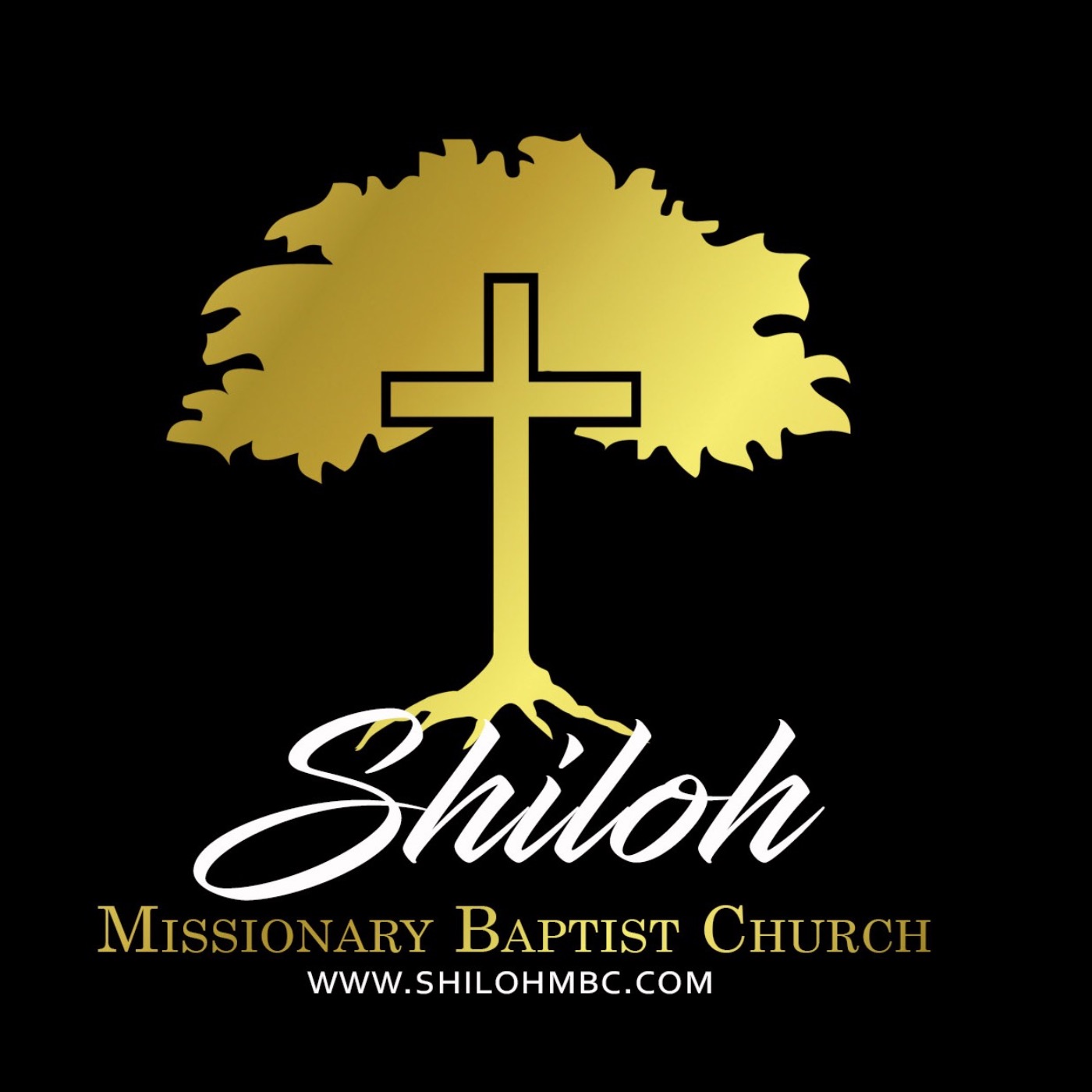Shiloh's T.H.R.I.V.E. Podcast Episode 3 episode artwork