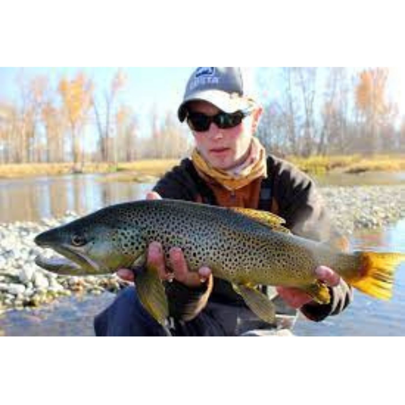 Wildlife Conservation in Montana with Alec Underwood of the MT Wildlife Federation