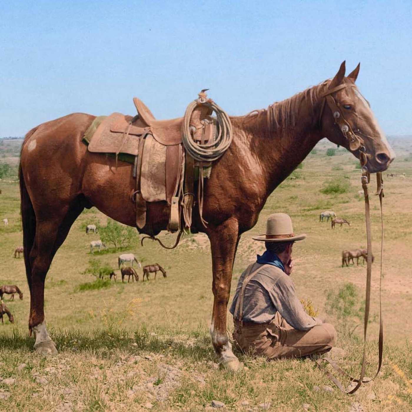 Old Montana Cowboy Storytelling
