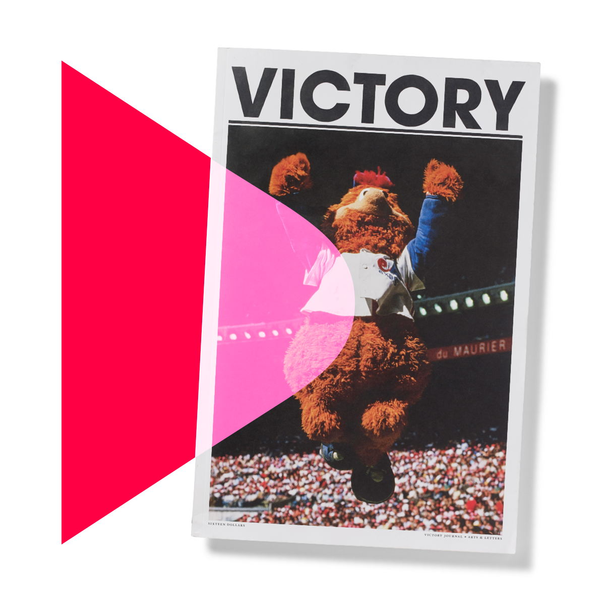 Victory Journal
