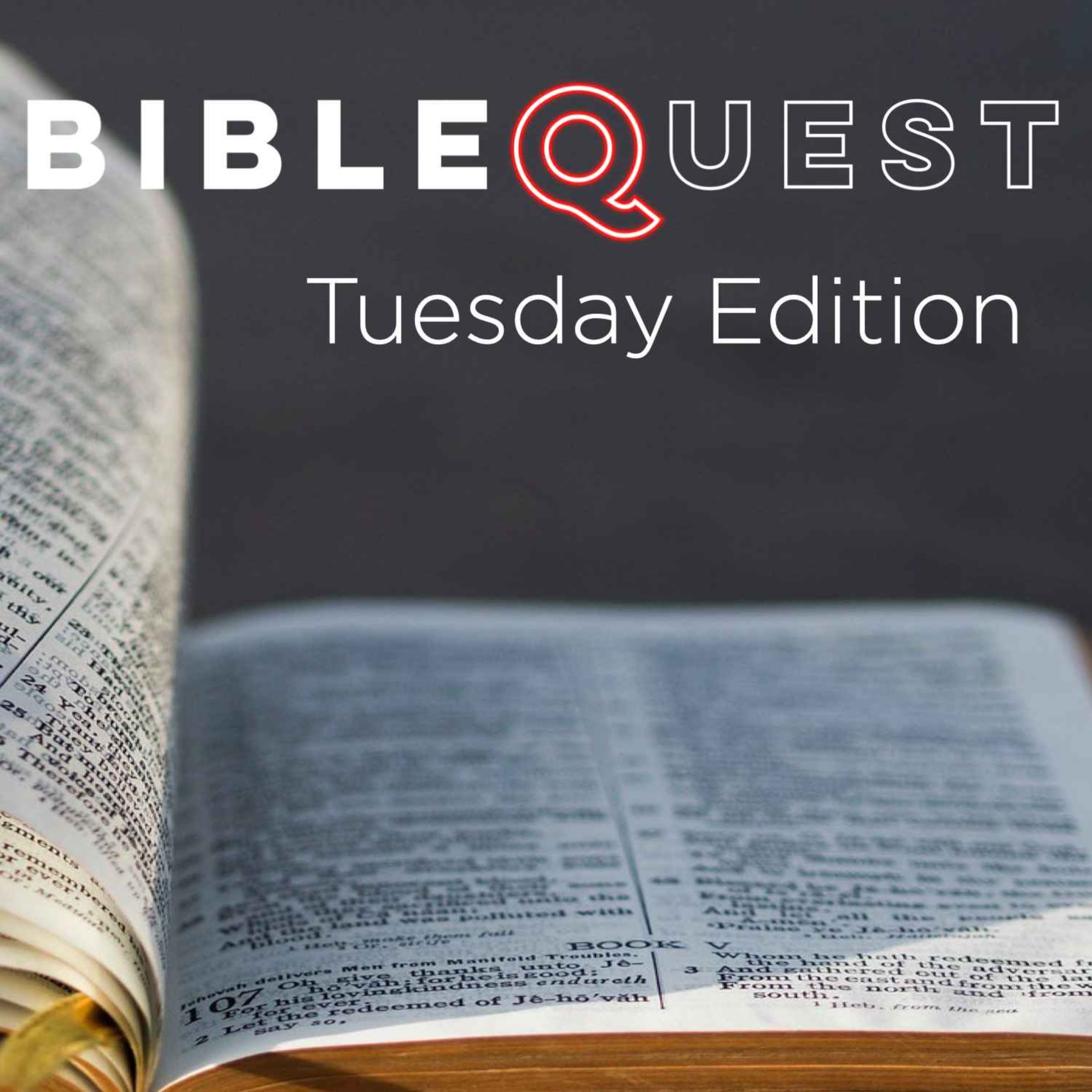 BibleQuest Talk-Show | Live Q&A at BibleQuest.tv