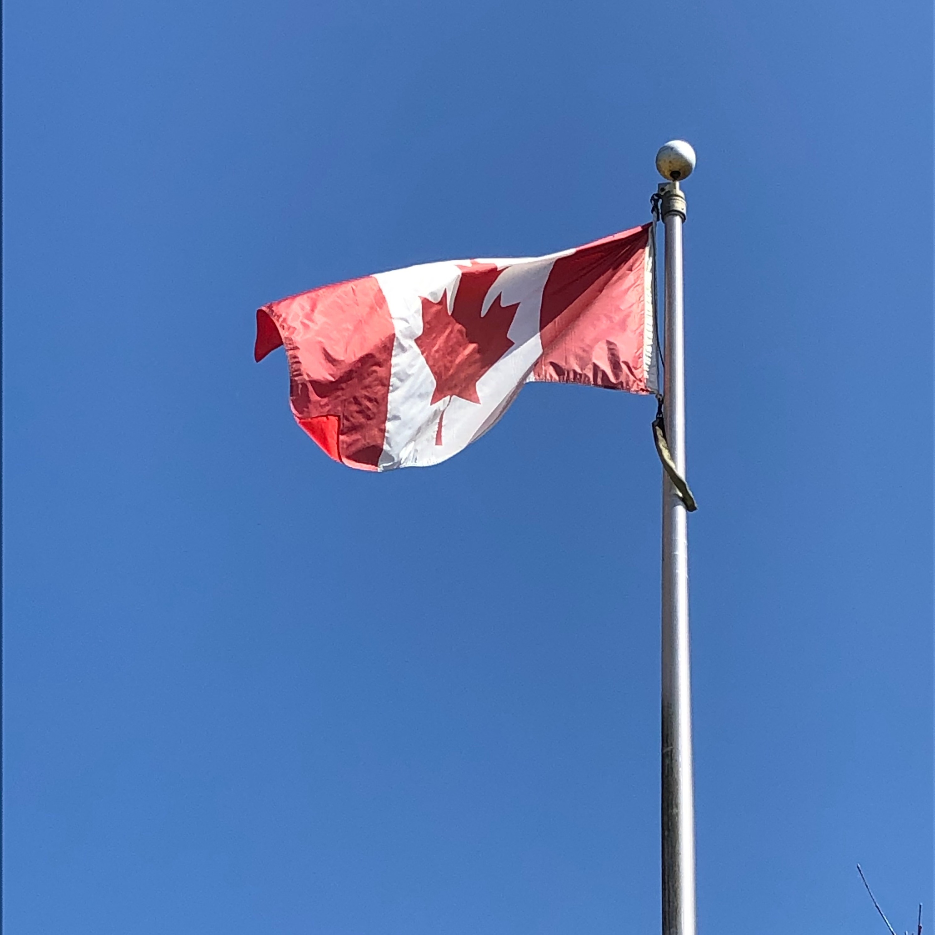 The Canadian Mortgaging Experience episode artwork