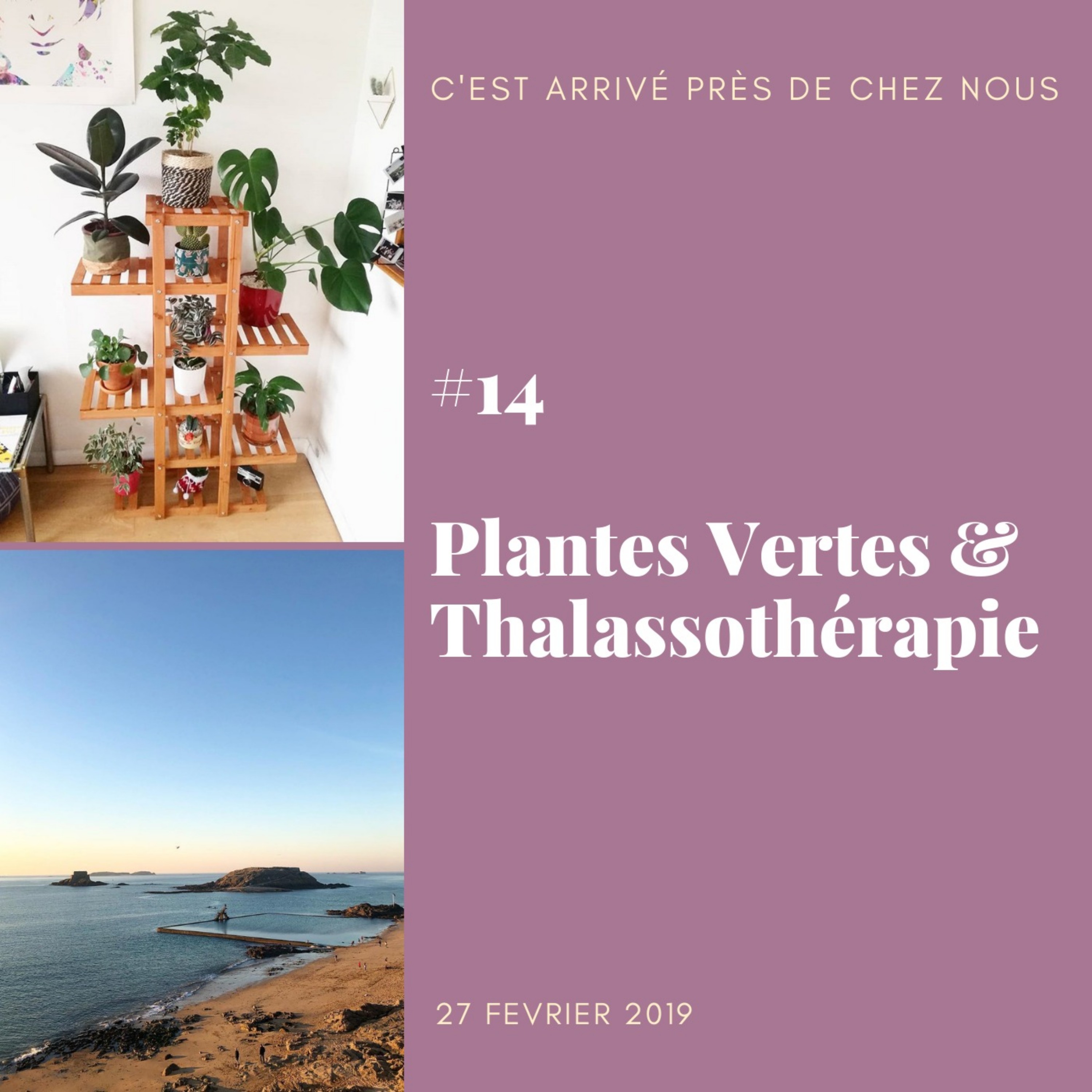 cover art for #14 Plantes Vertes et Thalassothérapie