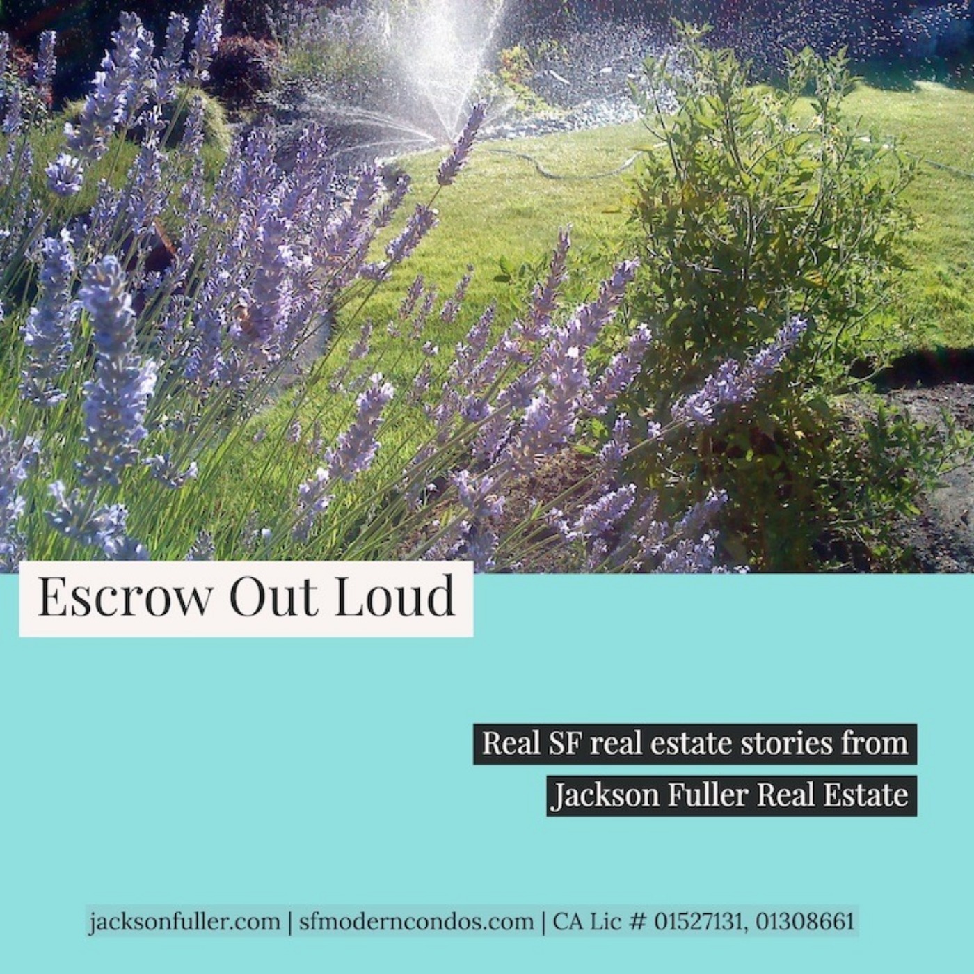 San Francisco Real Estate: Escrow Out Loud