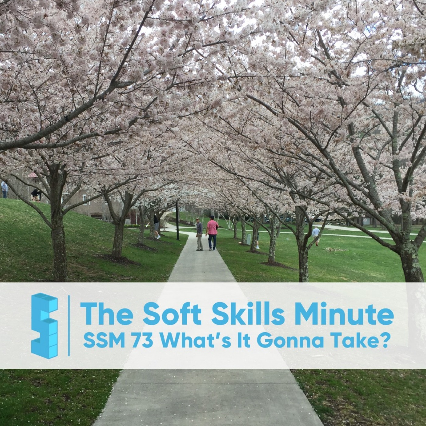 Serious Soft Skills