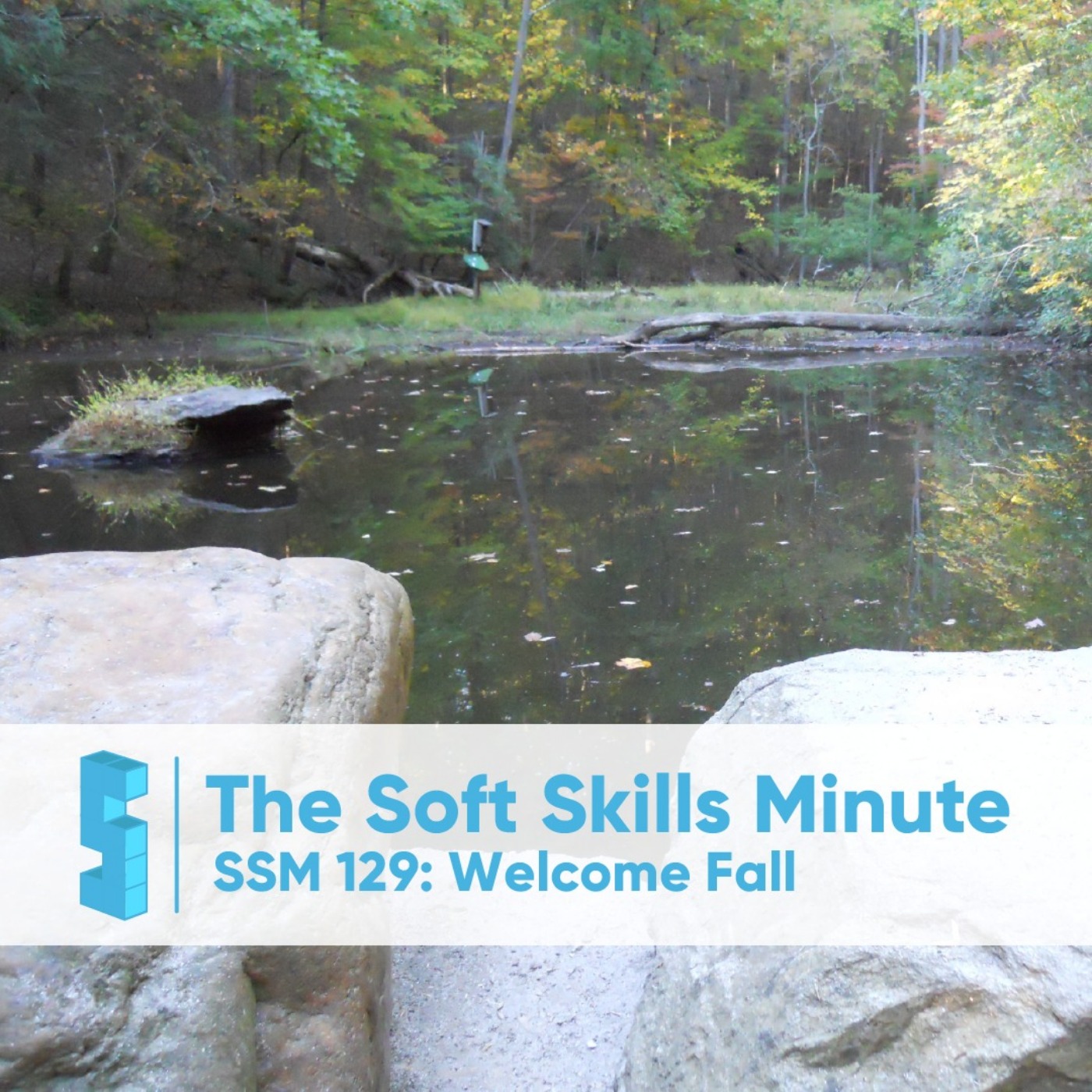 Serious Soft Skills