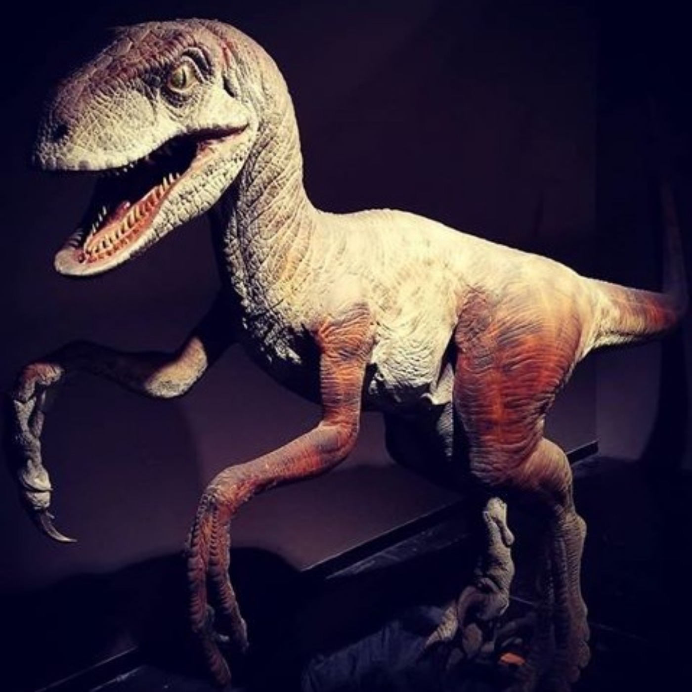 Welcome to, uhhh,  Jurassic Park