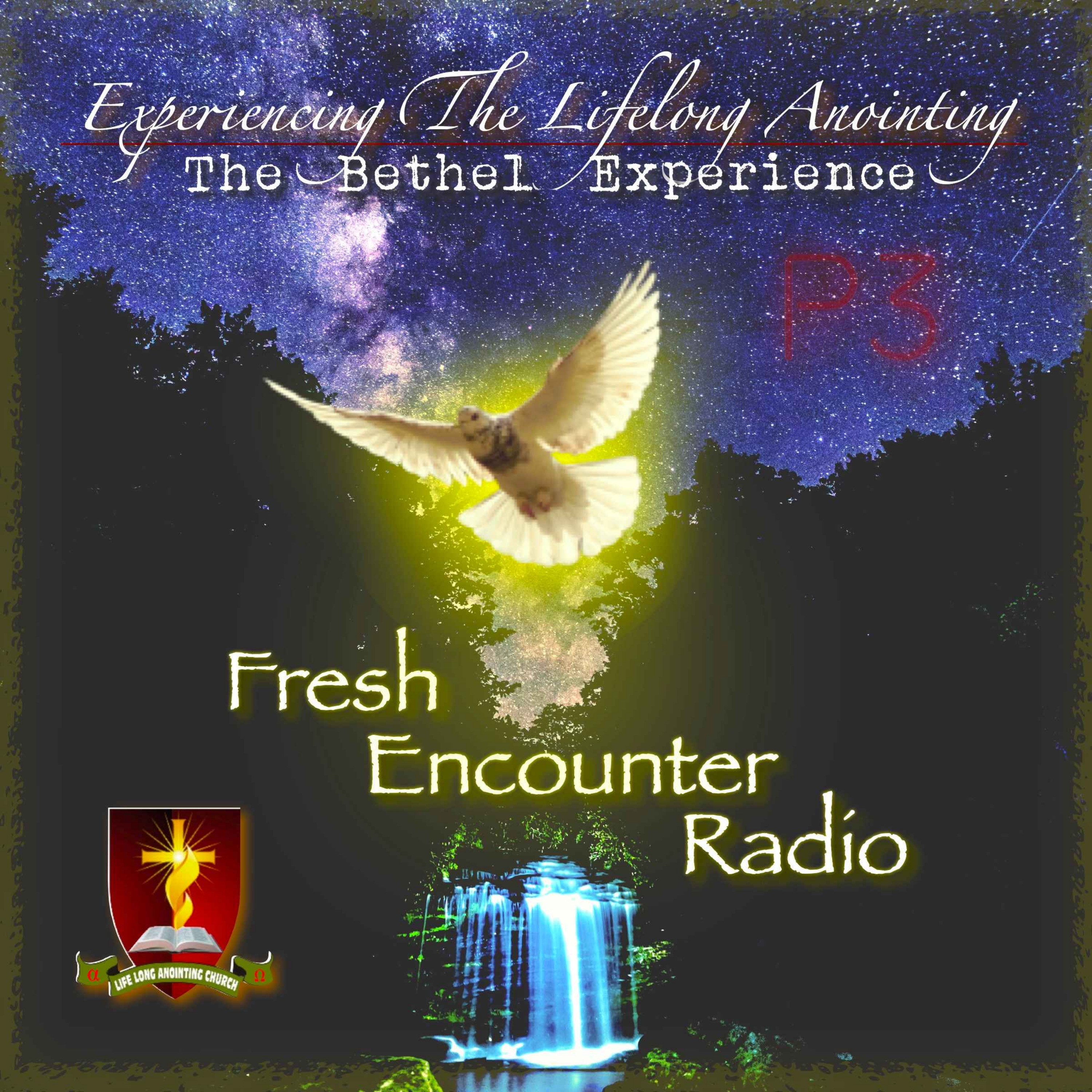 cover art for Experiencing The Lifelong Anointing, Part-3