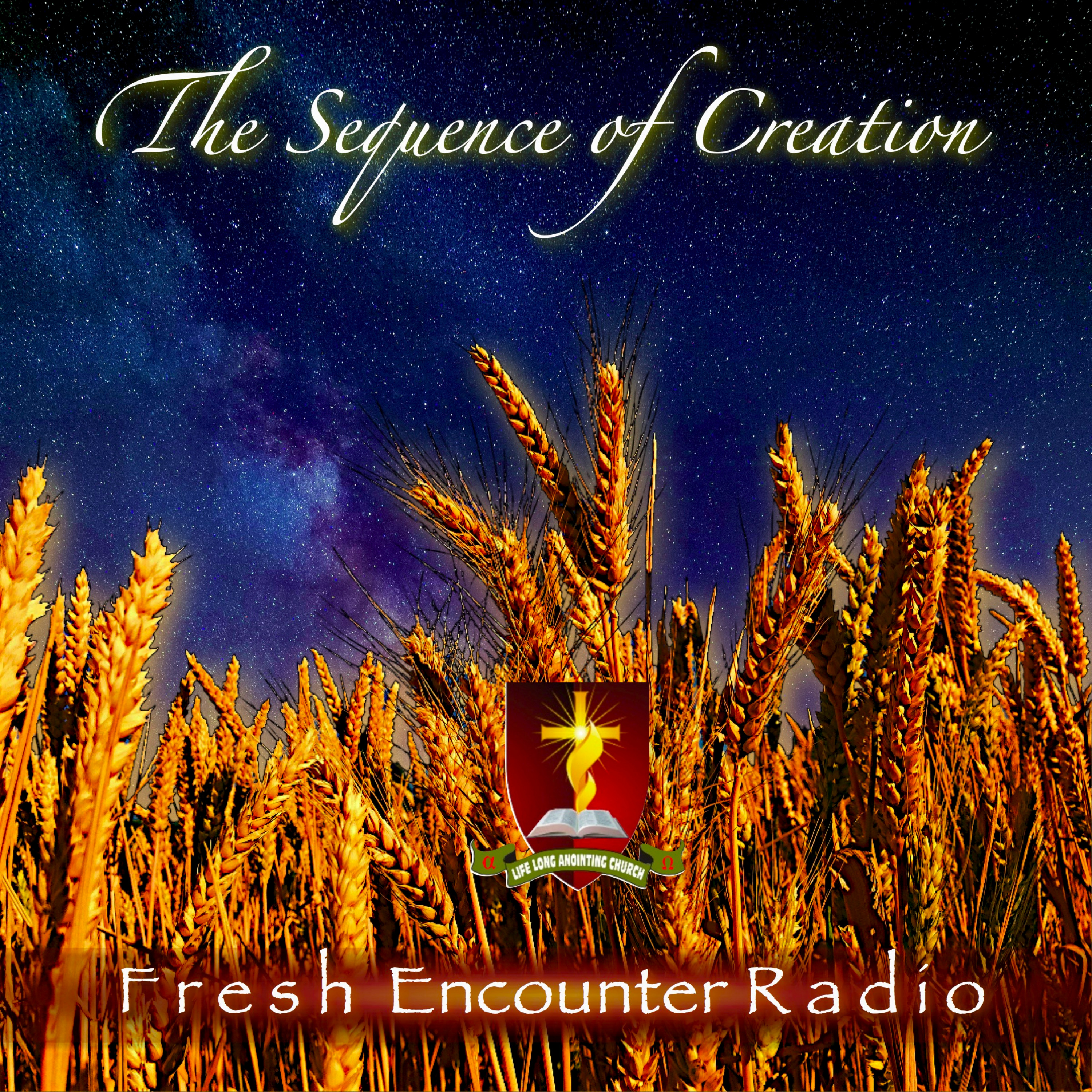 cover art for The Sequence of Creation