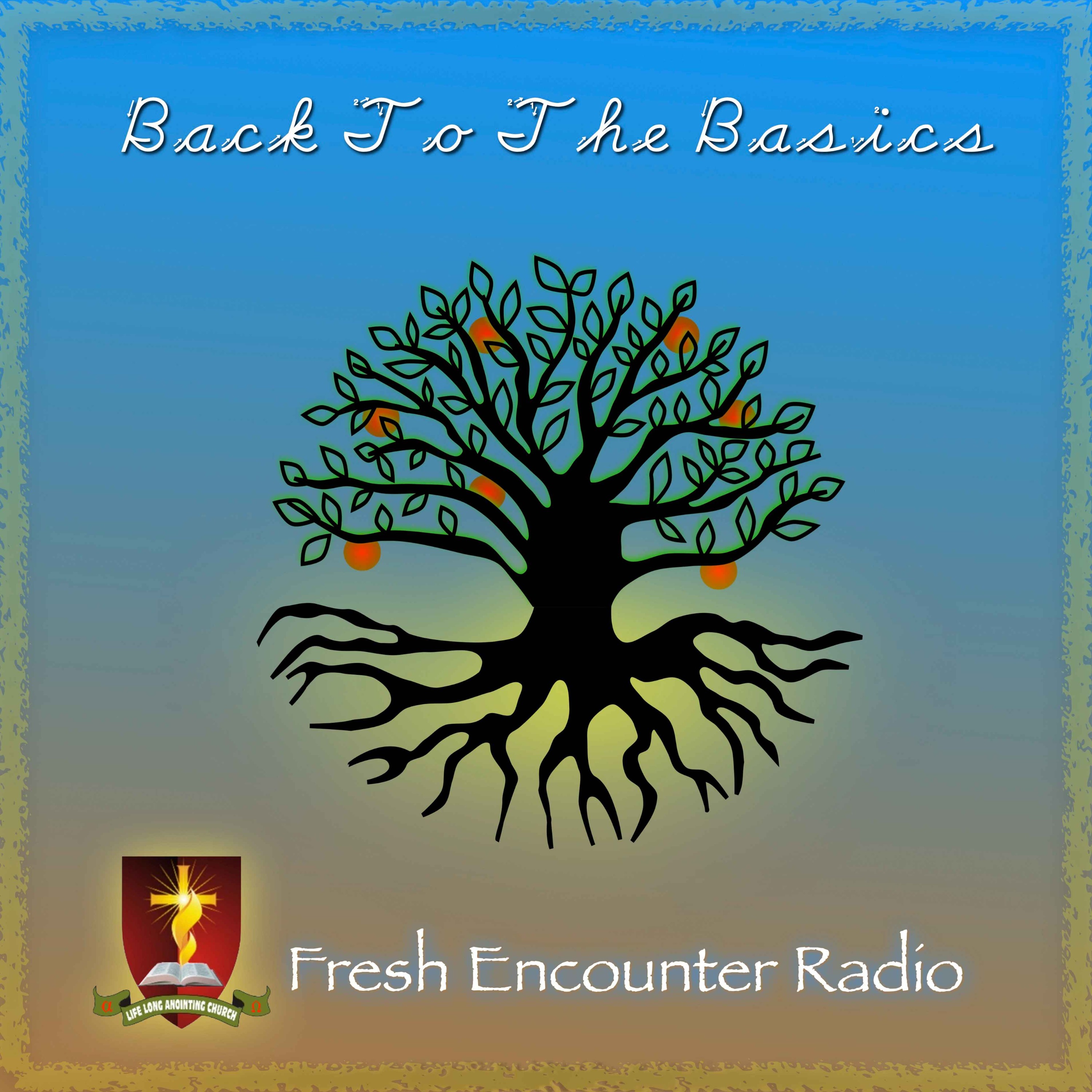 Back To The Basics, Part-1a of 4 episode artwork