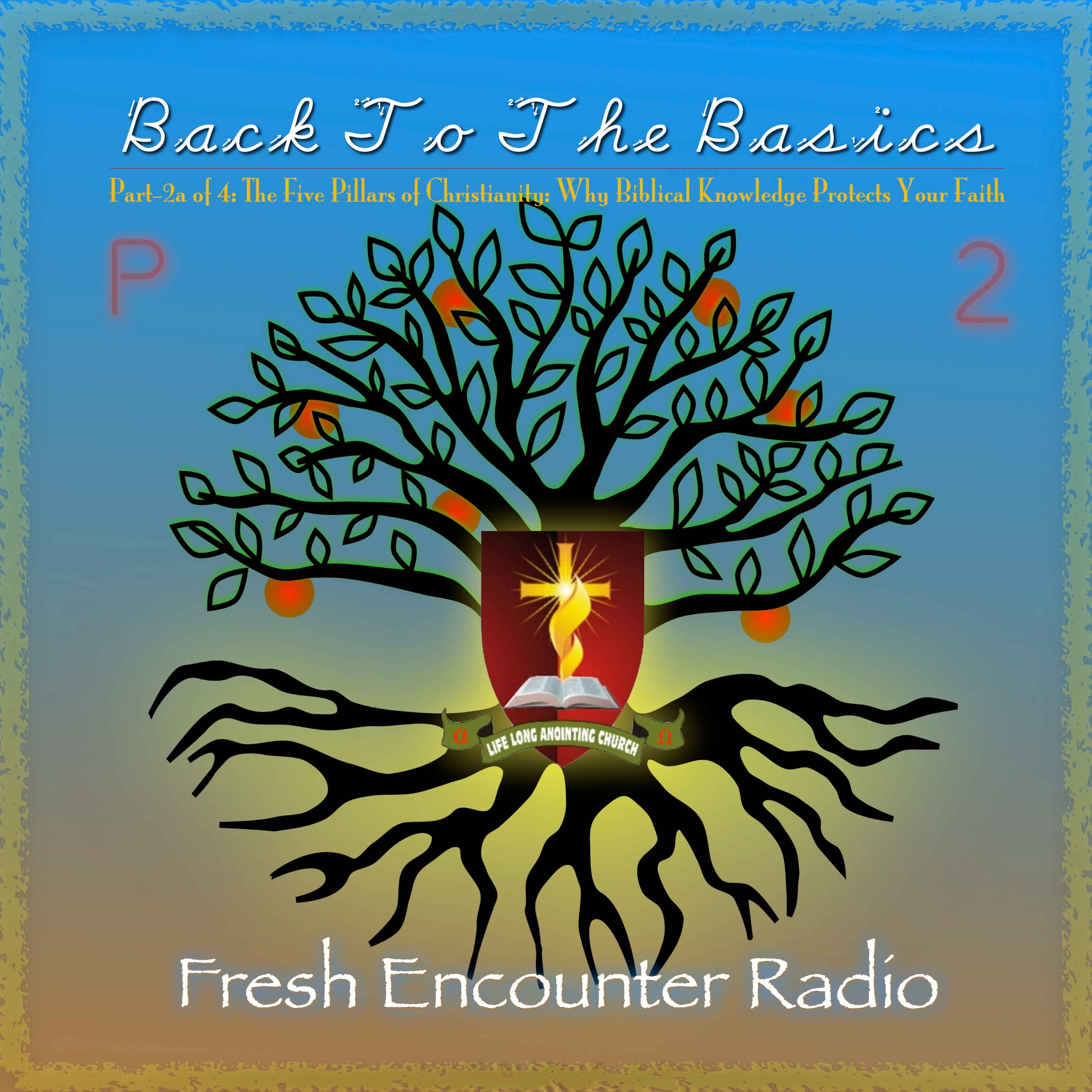 Back To The Basics, Part-2a of 4 episode artwork