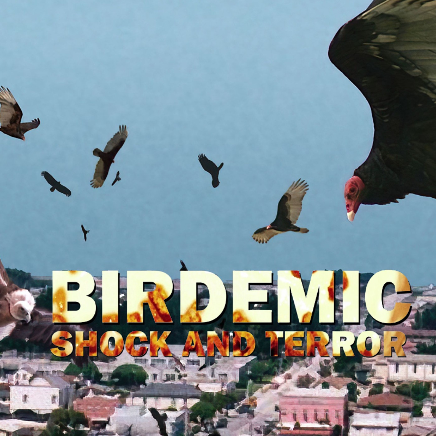 Birdemic Shock And Terror 2010 Spoilers 481 Spoilers On Acast Birdemic Shock And Terror 2010 Spoilers 481 Spoilers On Acast