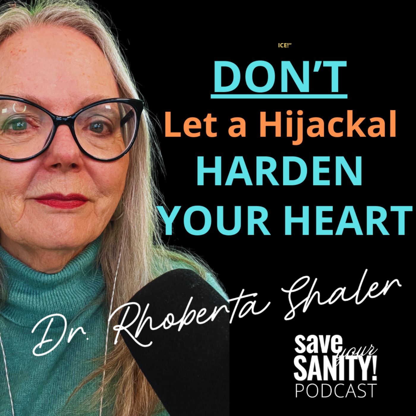cover art for Don't Let A Hijackal Harden Your Heart. Harden Your Attitude Towards Them.
