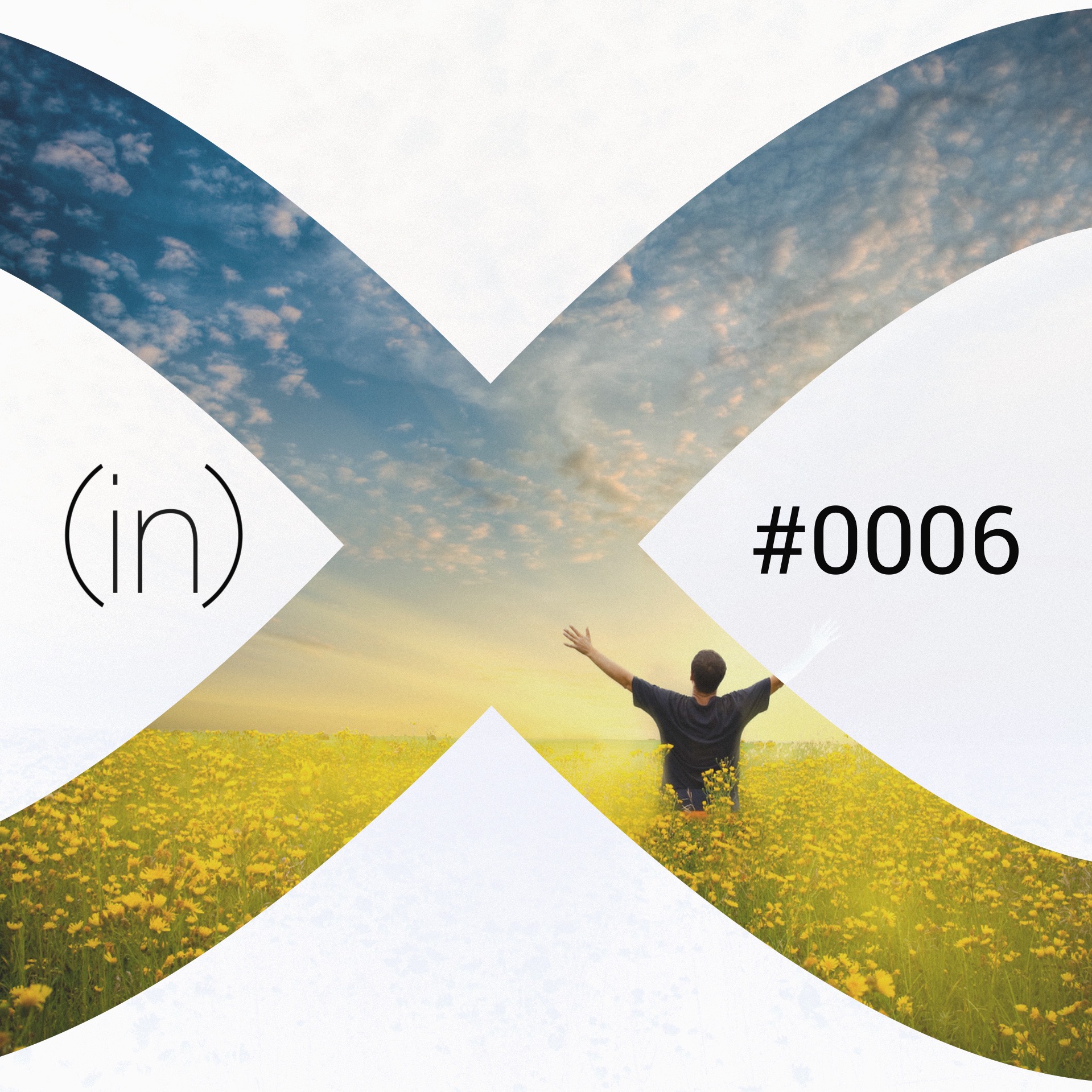 (in)006 - Abundance (Guest - Fred Ligaard)
