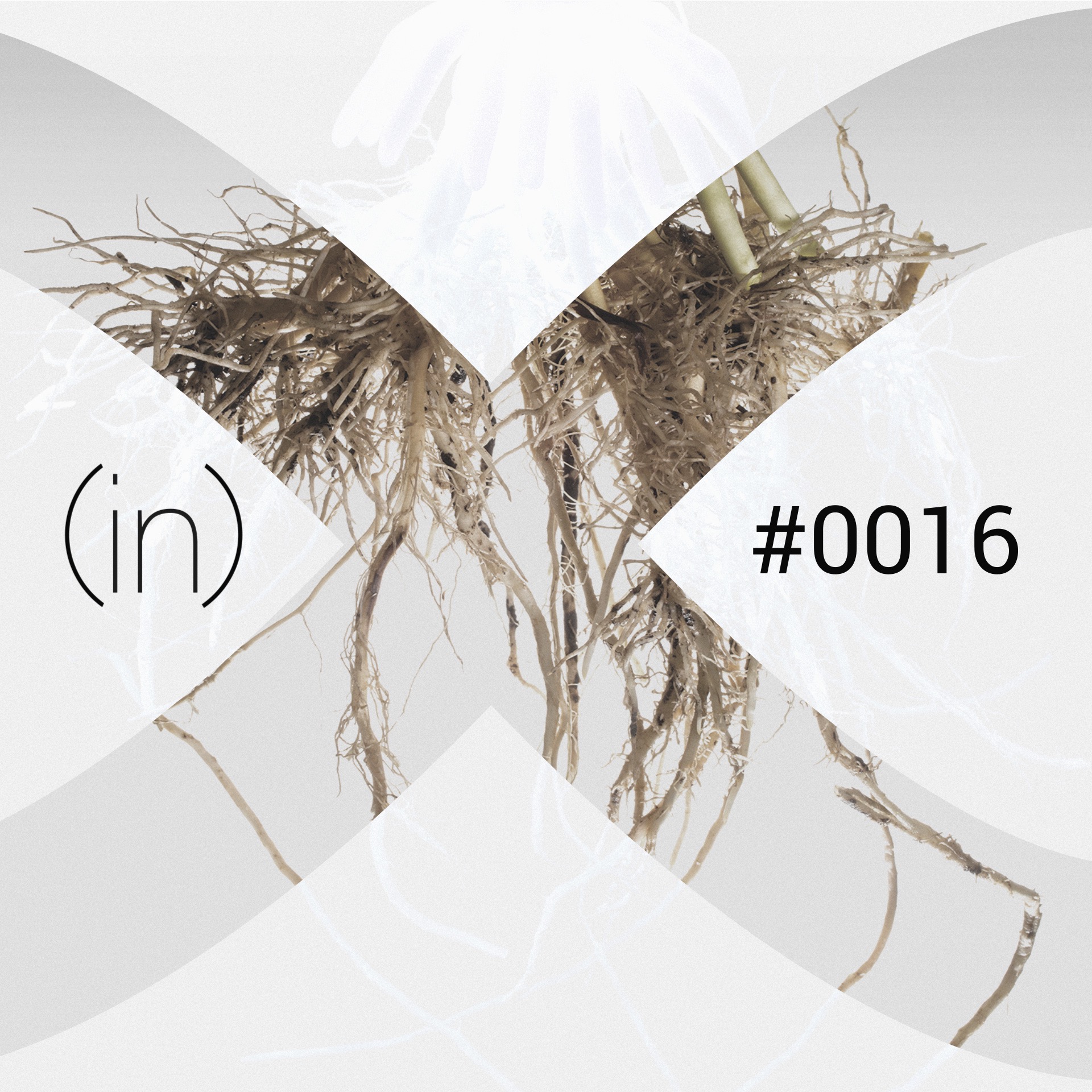 (in)016 - A Weed in the Garden (Guest - Mas Sajady)