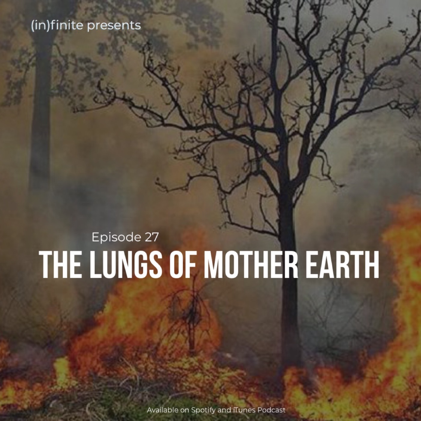 cover art for (in)027 - The Lungs of Mother Earth