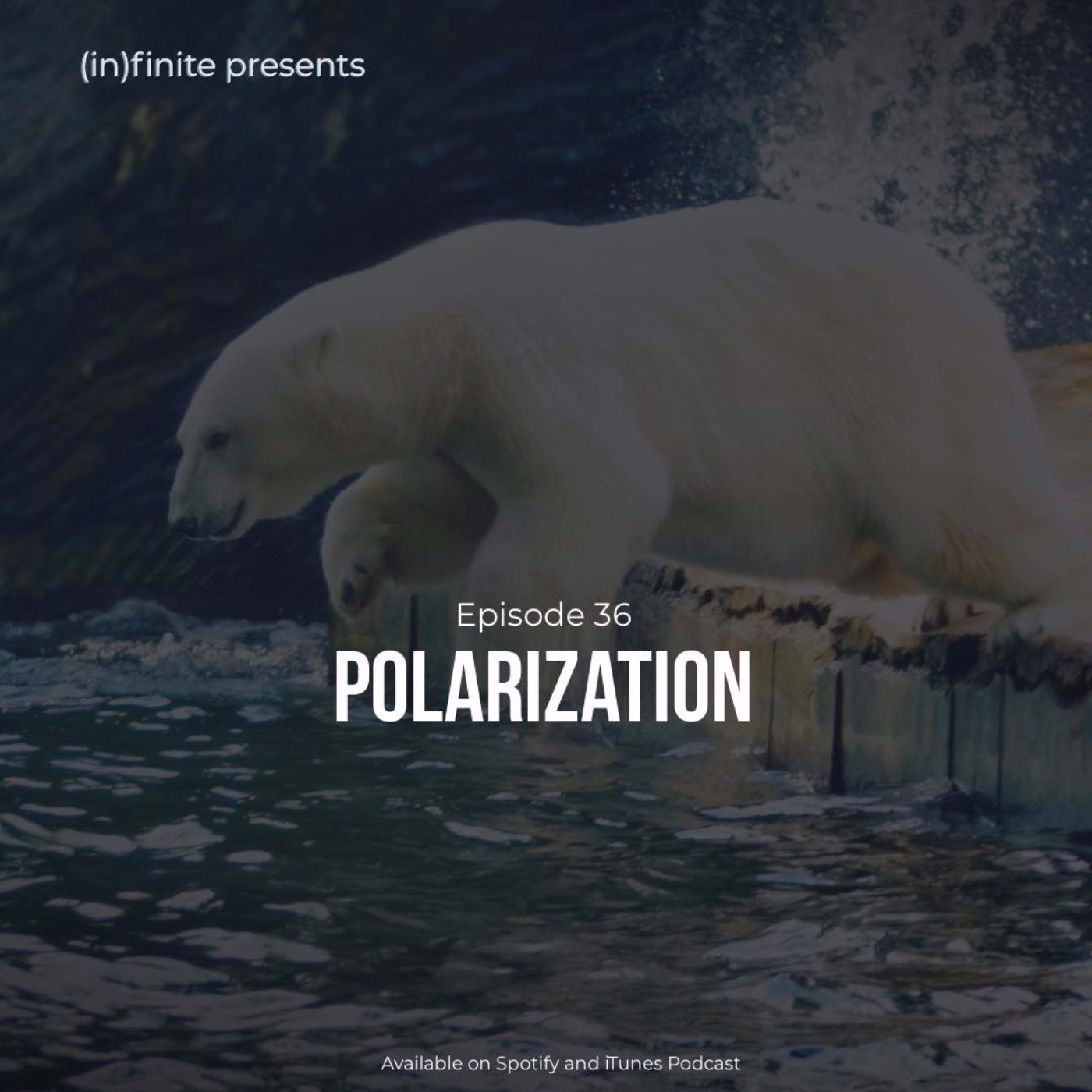 (in)036 - Polarization