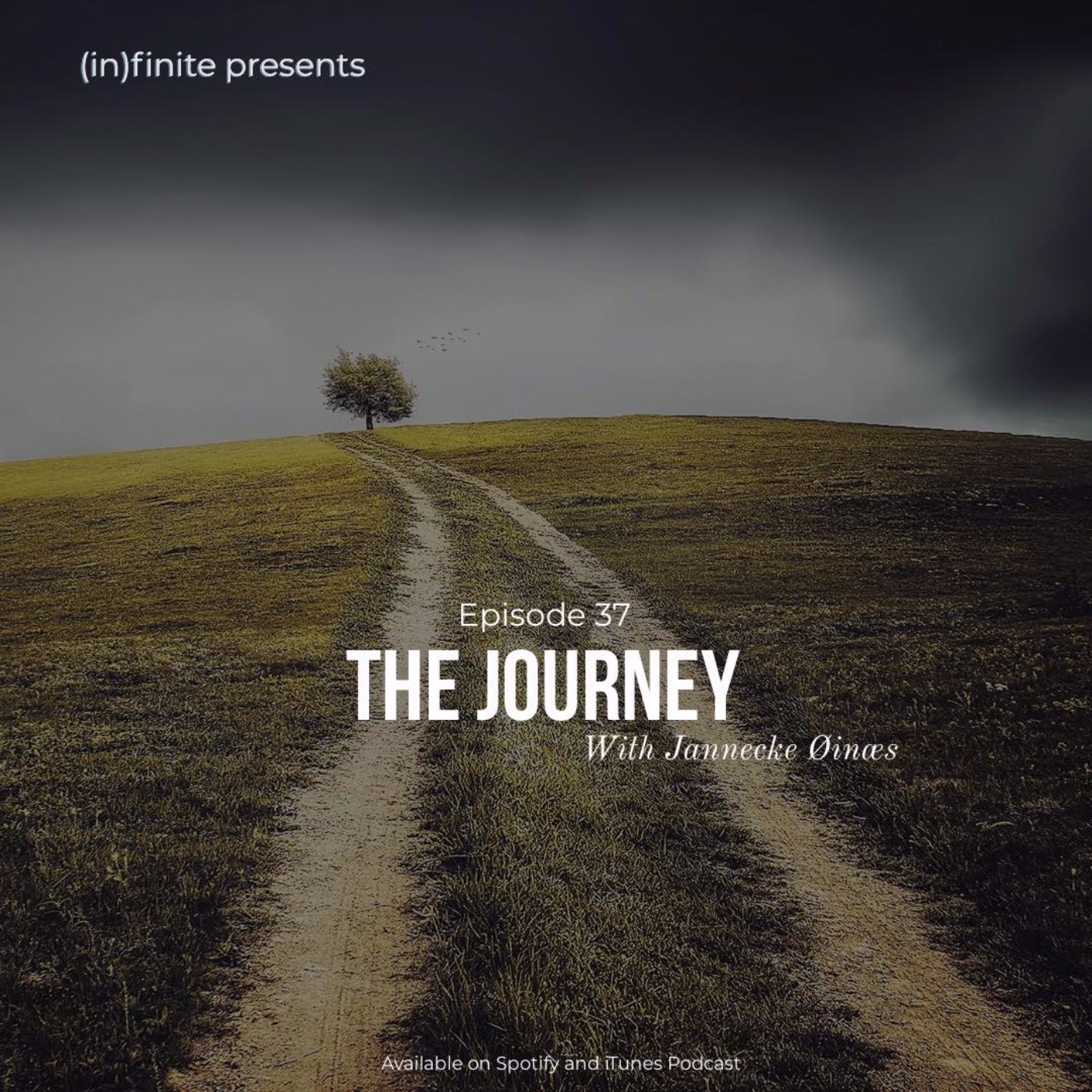 cover art for (in)037 - The Journey (Guest - Jannecke Øinæs)