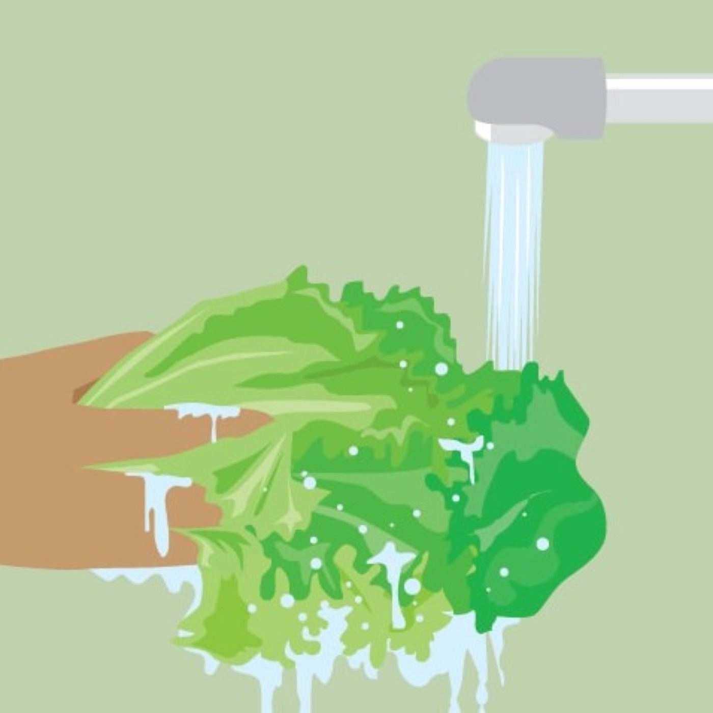 Preventing Food Poisoning | Michigan Medicine