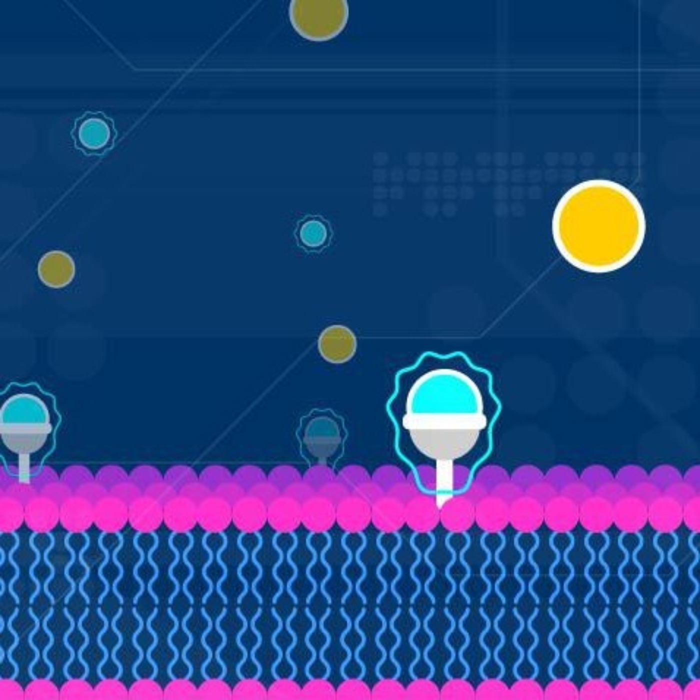 Research Continues, But No Proven Therapies to Prevent or Treat COVID-19 Yet | Michigan Medicine